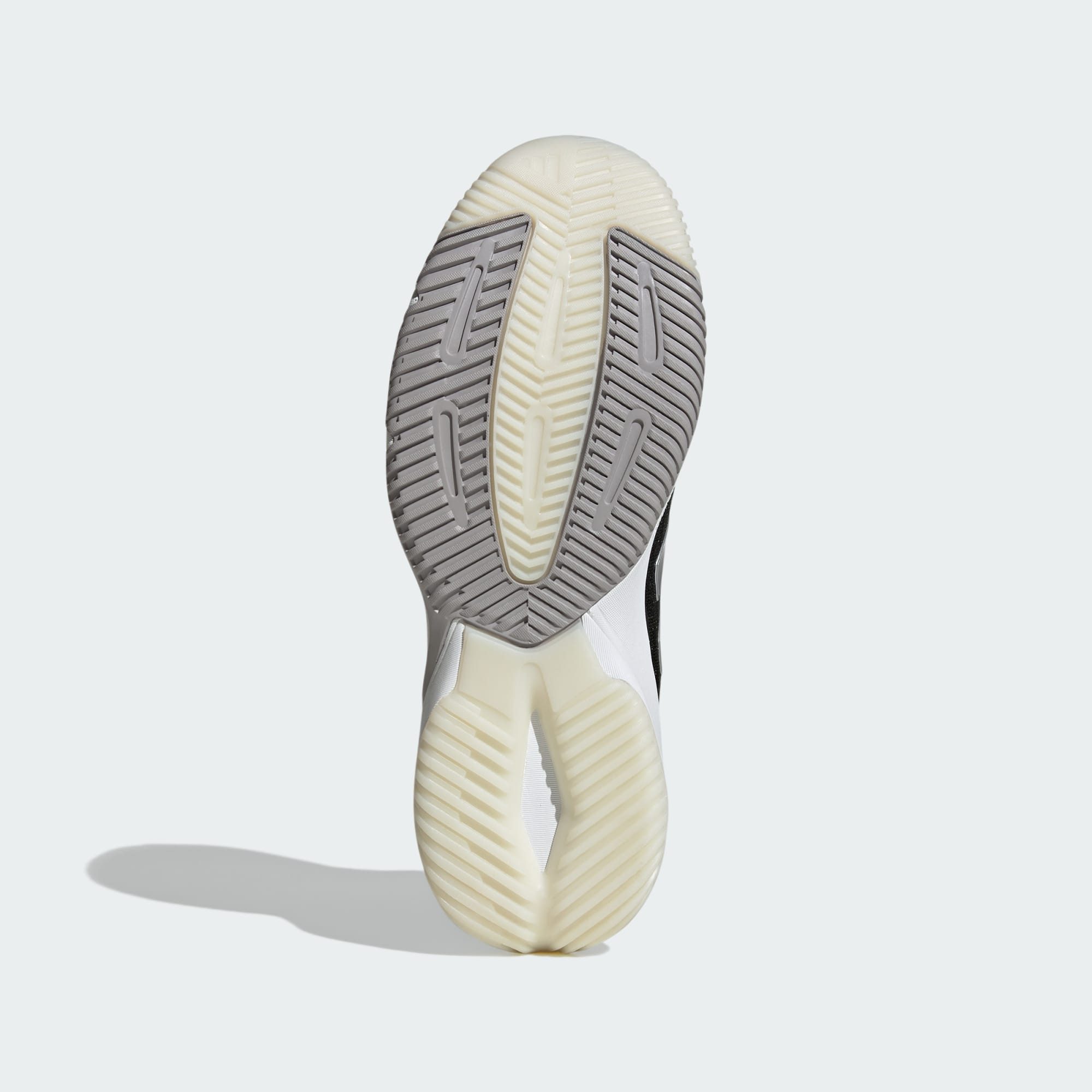 adidas Performance CRAZYFLIGHT 6 HALLENSCHUH Hallenschuh (2-tlg)