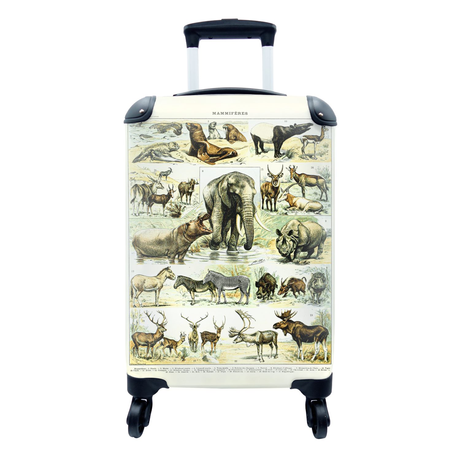 Reisetasche Ferien, 4 Handgepäck - - Hirsche, mit Elefanten Rollen, rollen, Tiere Reisekoffer für MuchoWow Trolley, Handgepäckkoffer