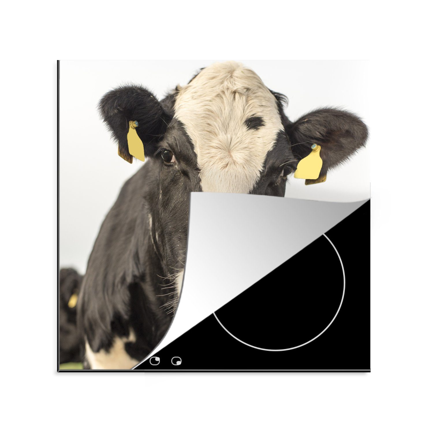 MuchoWow Herdblende-/Abdeckplatte Kühe - Etikett - Porträt, Vinyl, (1 tlg), 78x78 cm, Ceranfeldabdeckung, Arbeitsplatte für küche