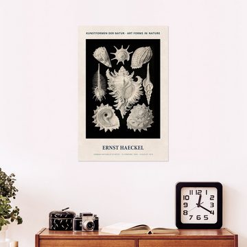 Posterlounge Wandfolie Ernst Haeckel, Kunstformen der Natur II, Wohnzimmer Vintage Malerei