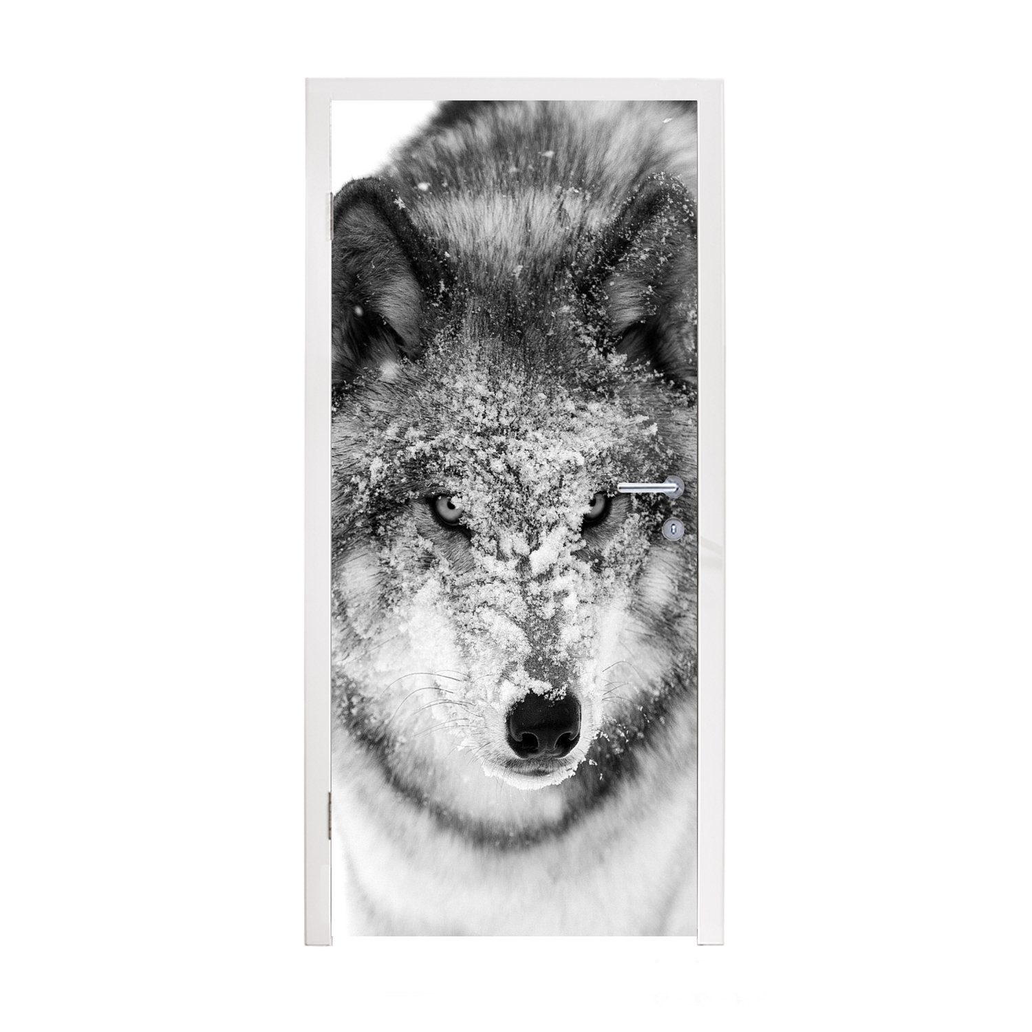 Wolf mit cm Türtapete Kopf schwarz-weiß, Fototapete Türaufkleber, St), für Matt, in 75x205 verschneitem (1 bedruckt, Tür, MuchoWow