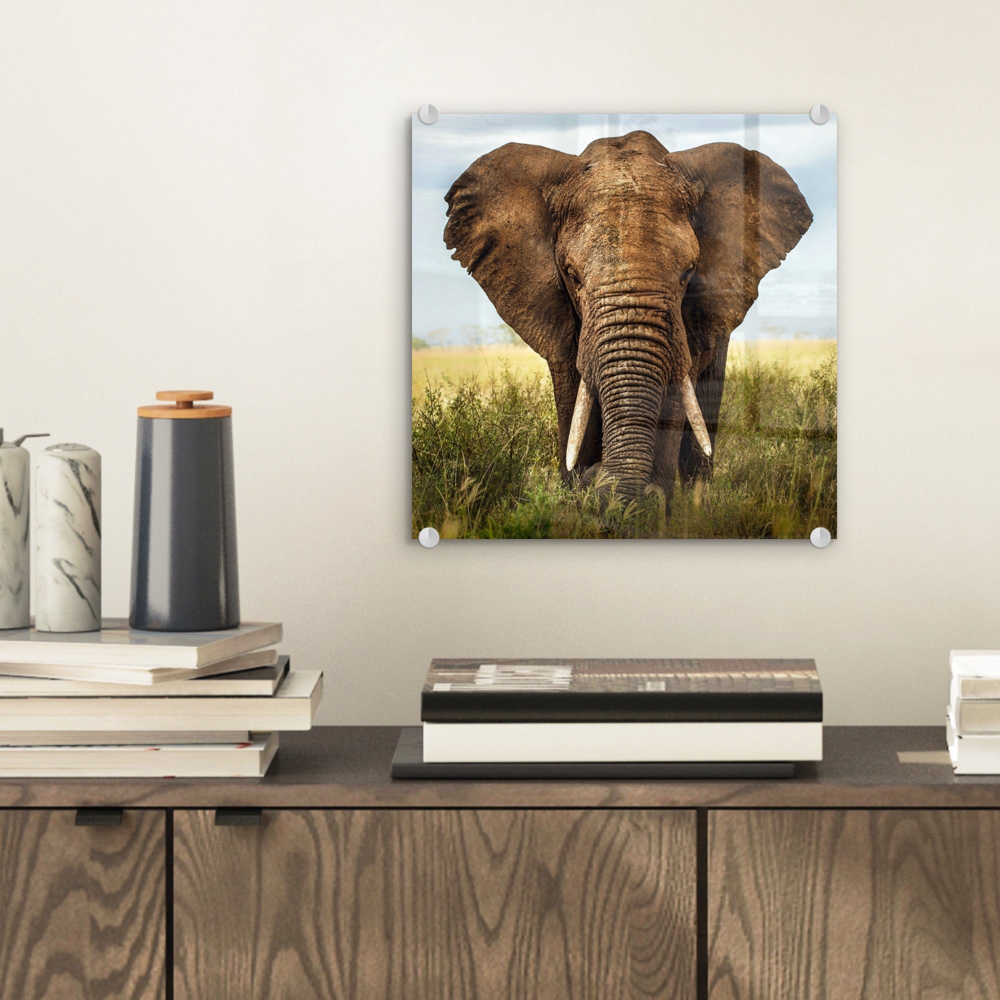 MuchoWow Acrylglasbild Afrikanischer Elefant - Vorderansicht, Foto Glas Glas auf Glasbilder (1 bunt Wandbild Wanddekoration St), auf Bilder - 