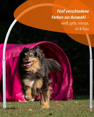Superhund Agility-Slalom Hoop aus Kunststoff, Orangene Basis mit farbigem Bogen Farbe Orange/Ro, Kunststoff