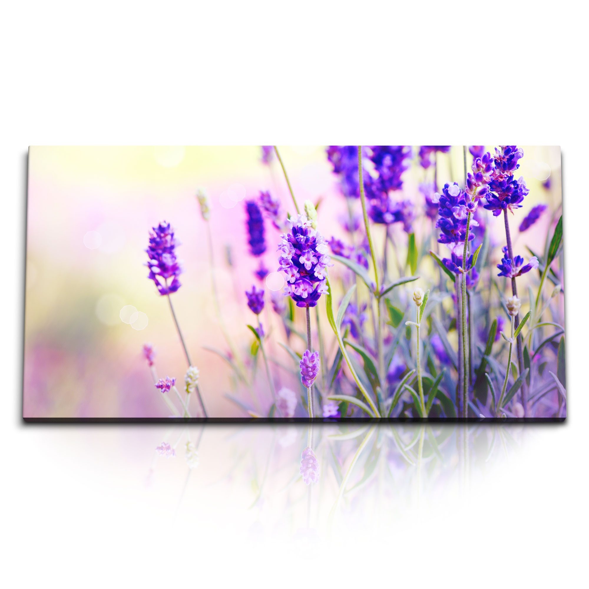 Leinwandbild Kunstdruck Bilder 120x60cm Lavendel Blumen Sommer Sonnenschein Violett