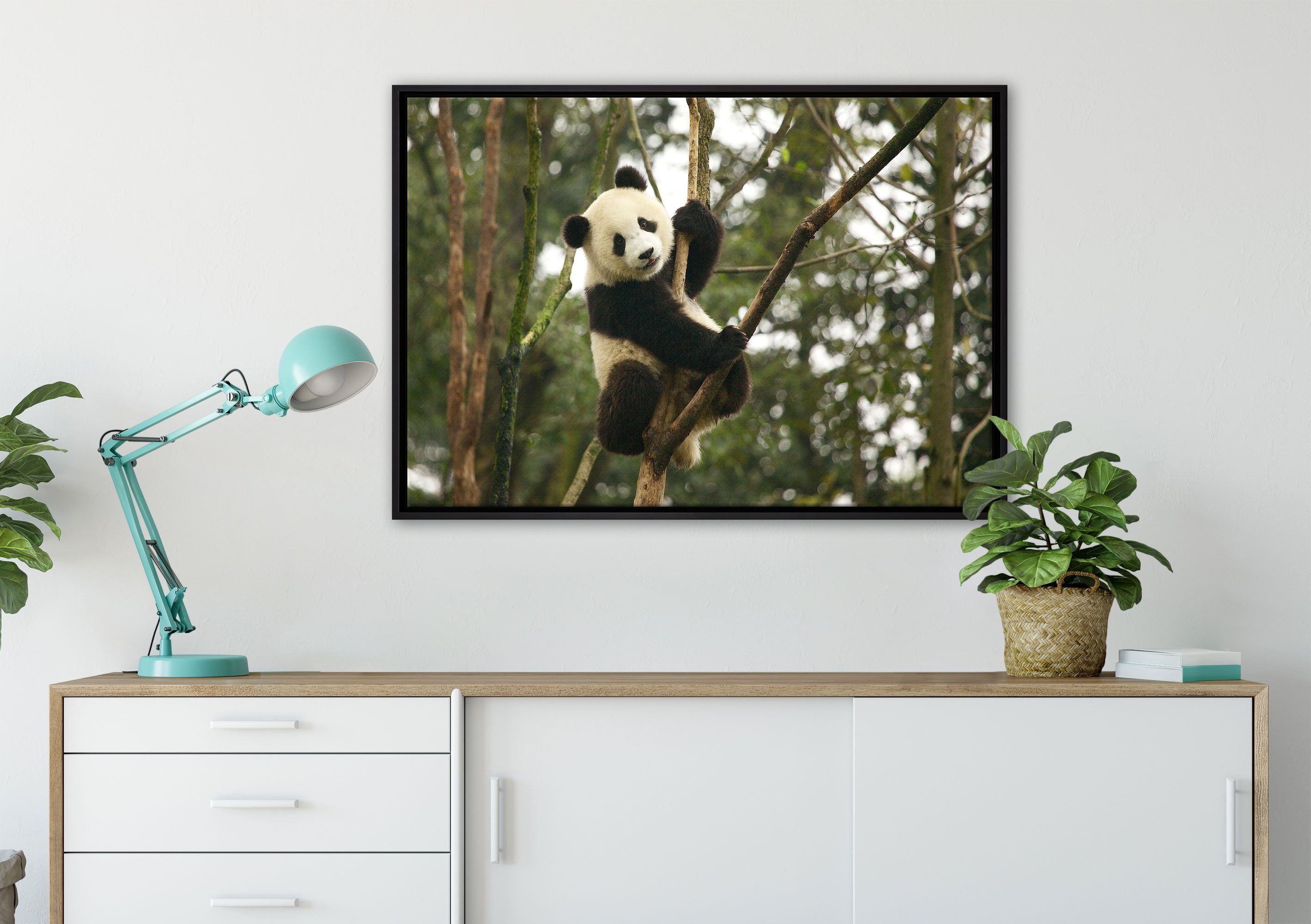 bespannt, niedlicher Leinwandbild auf Pixxprint in Pandabär Wanddekoration gefasst, Zackenaufhänger Baum, Schattenfugen-Bilderrahmen Leinwandbild St), fertig inkl. einem (1