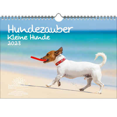 Seelenzauber Wandkalender Hundezauber Kleine Hunde DIN A4 Kalender für 2023 Welpen und kleine