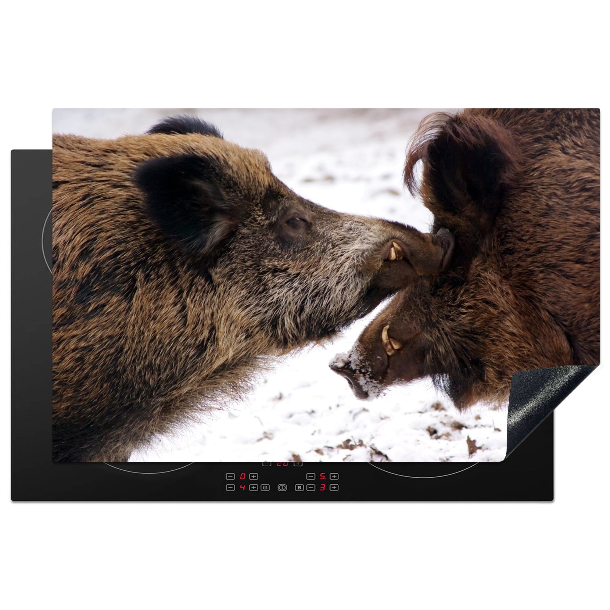 MuchoWow Herdblende-/Abdeckplatte Wildschwein - Tier - Schnee, Vinyl, (1 tlg), 81x52 cm, Induktionskochfeld Schutz für die küche, Ceranfeldabdeckung