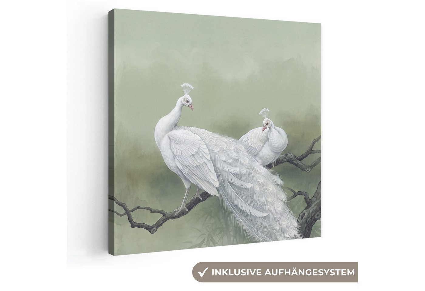 OneMillionCanvasses® Leinwandbild Pfaue - Weiß - Natur - Grün, Fotodruck (1 St), Wandbild, Deko Schlafzimmer Wohnzimmer Flur 20x20 cm
