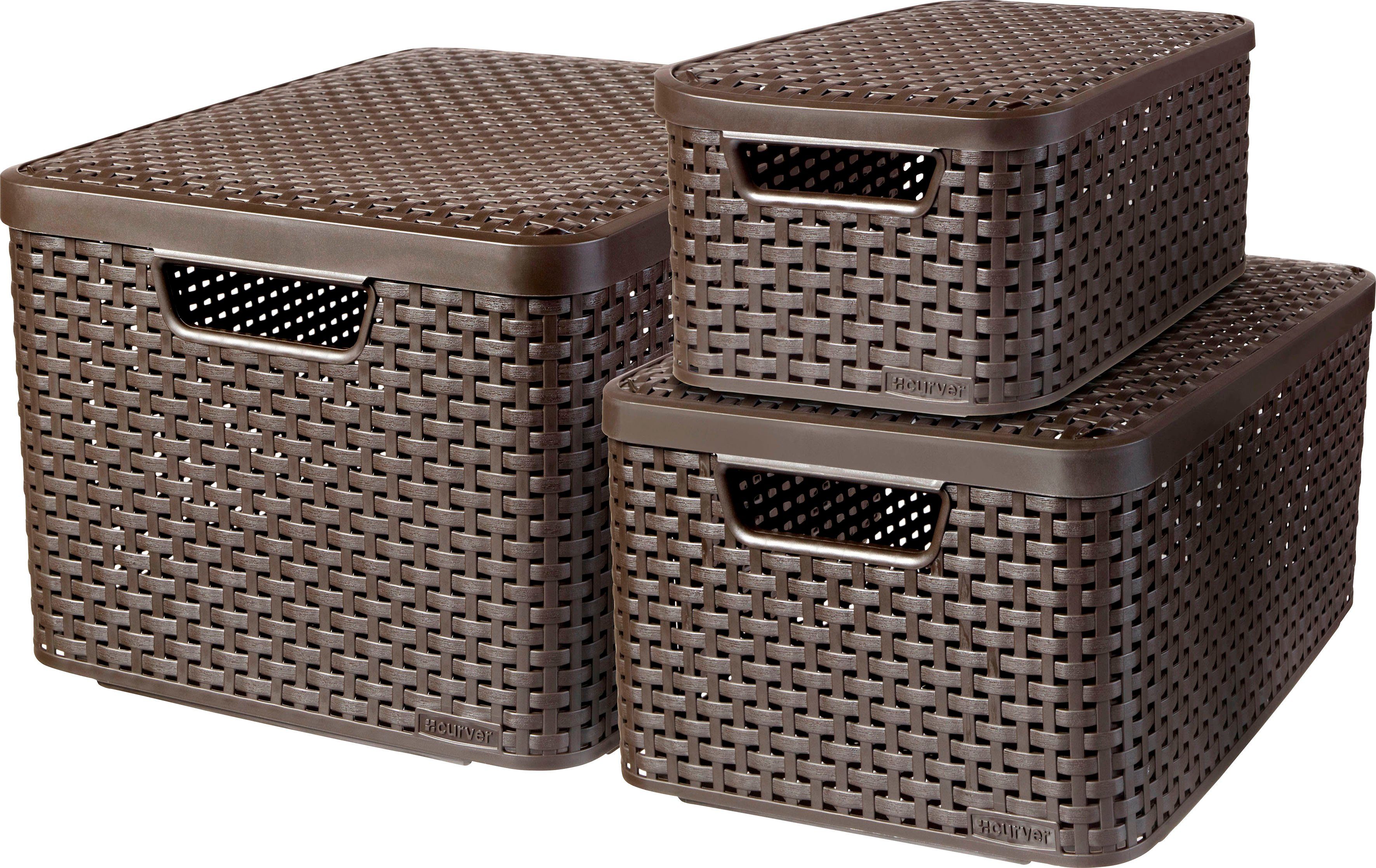 Curver Aufbewahrungsbox »Style Box L+M+S« (Set, 3 Stück), dunkelbraun