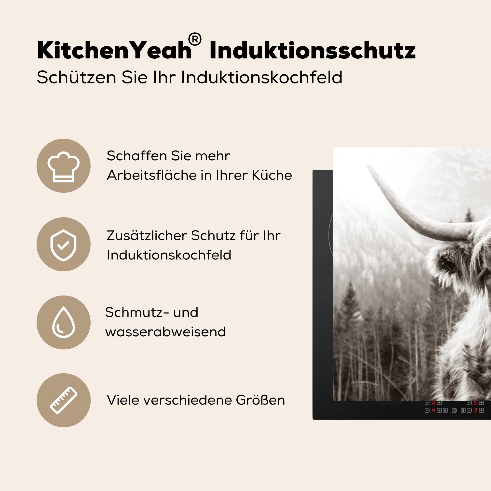 Kuh Herdblende-/Abdeckplatte cm, Induktionskochfeld Vinyl, - Highlander Schottischer - Ceranfeldabdeckung Weiß, (1 die tlg), für Schutz küche, - - MuchoWow 81x52 Tiere Schwarz