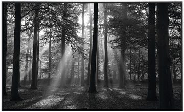 Papermoon Infrarotheizung Forrest Morgen in schwarz & weiß, sehr angenehme Strahlungswärme