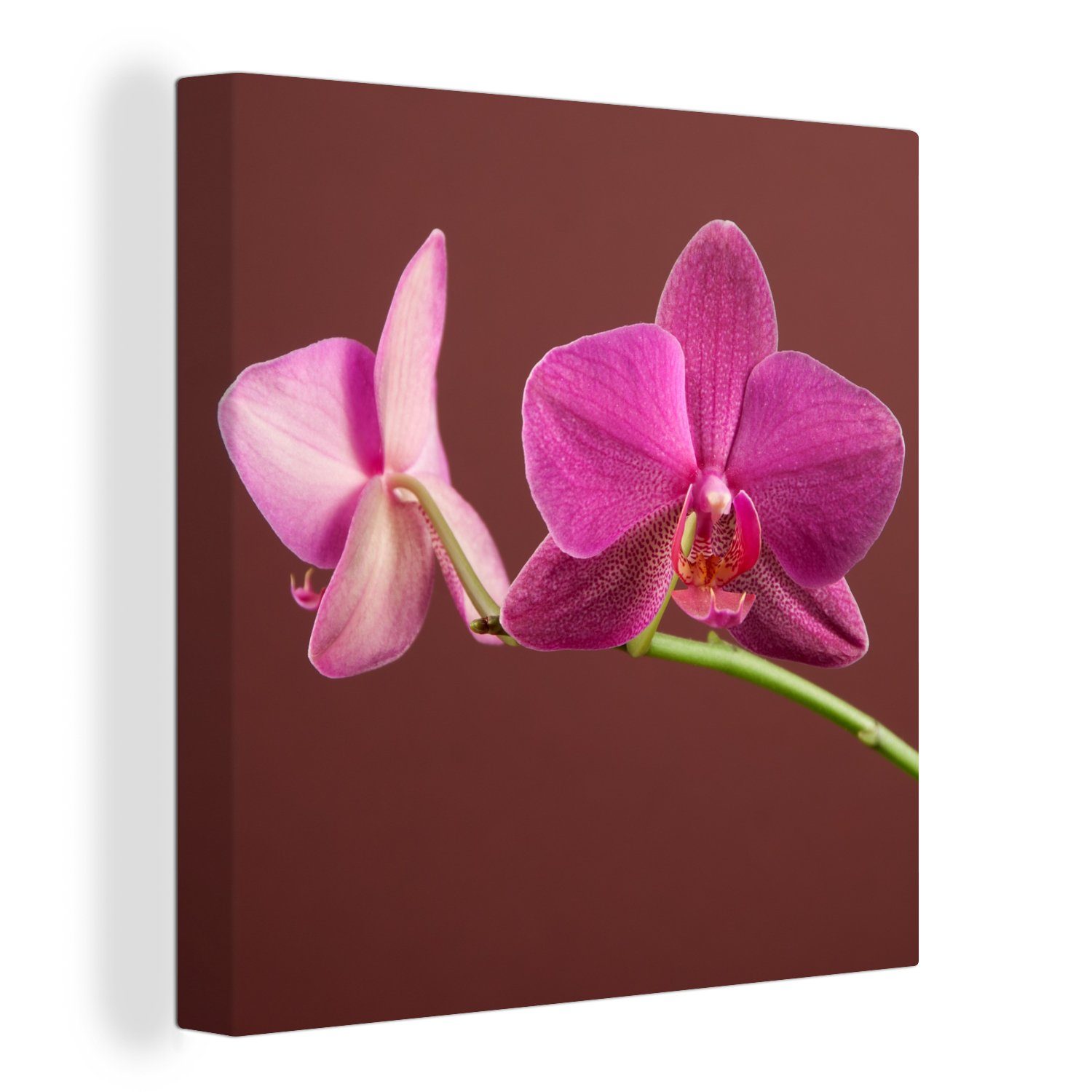 OneMillionCanvasses® Leinwandbild Leinwand - Rosa, für Bilder Blumen - Schlafzimmer Wohnzimmer (1 St), Orchideen