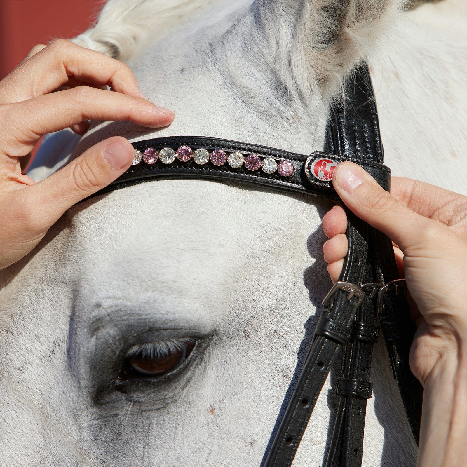 Kieffer Clear, Warmblut Crystal Pferdestirnriemen FlexiLoop Stirnband -