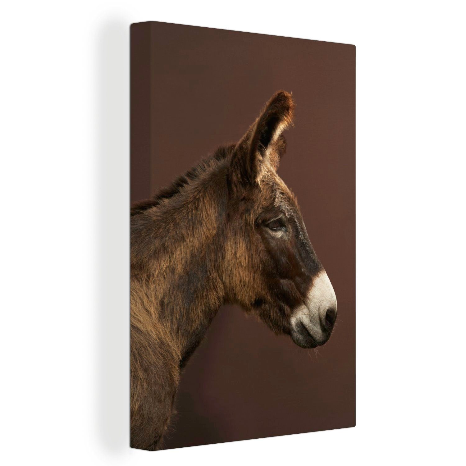 OneMillionCanvasses® Leinwandbild Seitenansicht eines Esels, (1 St), Leinwandbild fertig bespannt inkl. Zackenaufhänger, Gemälde, 20x30 cm