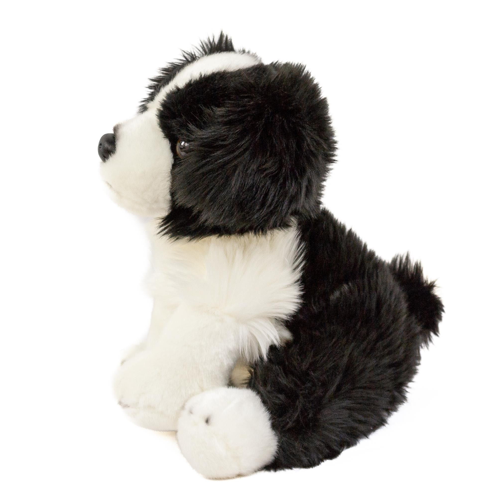 Teddys Rothenburg Kuscheltier Hund Border Collie 30 cm sitzend schwarz/weiß günstig online kaufen
