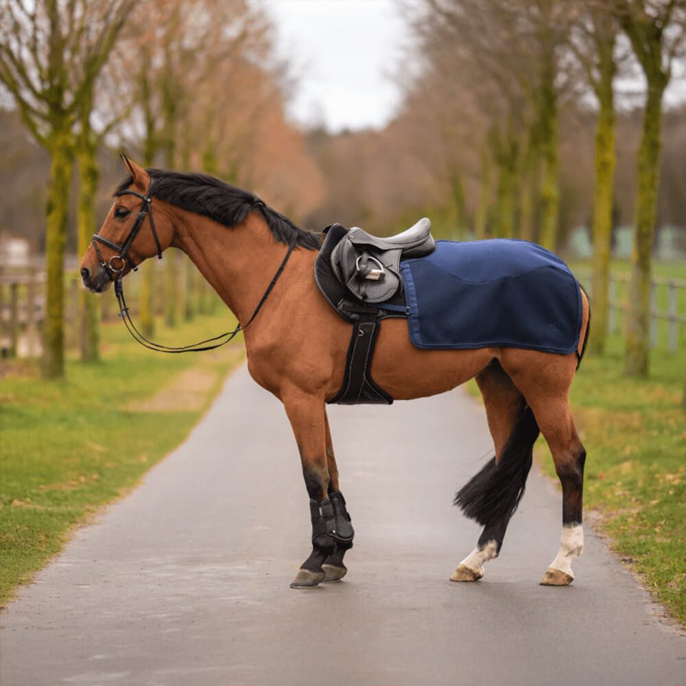 BUSSE Ausreitdecke Busse Trainingsdecke 3D Air FL