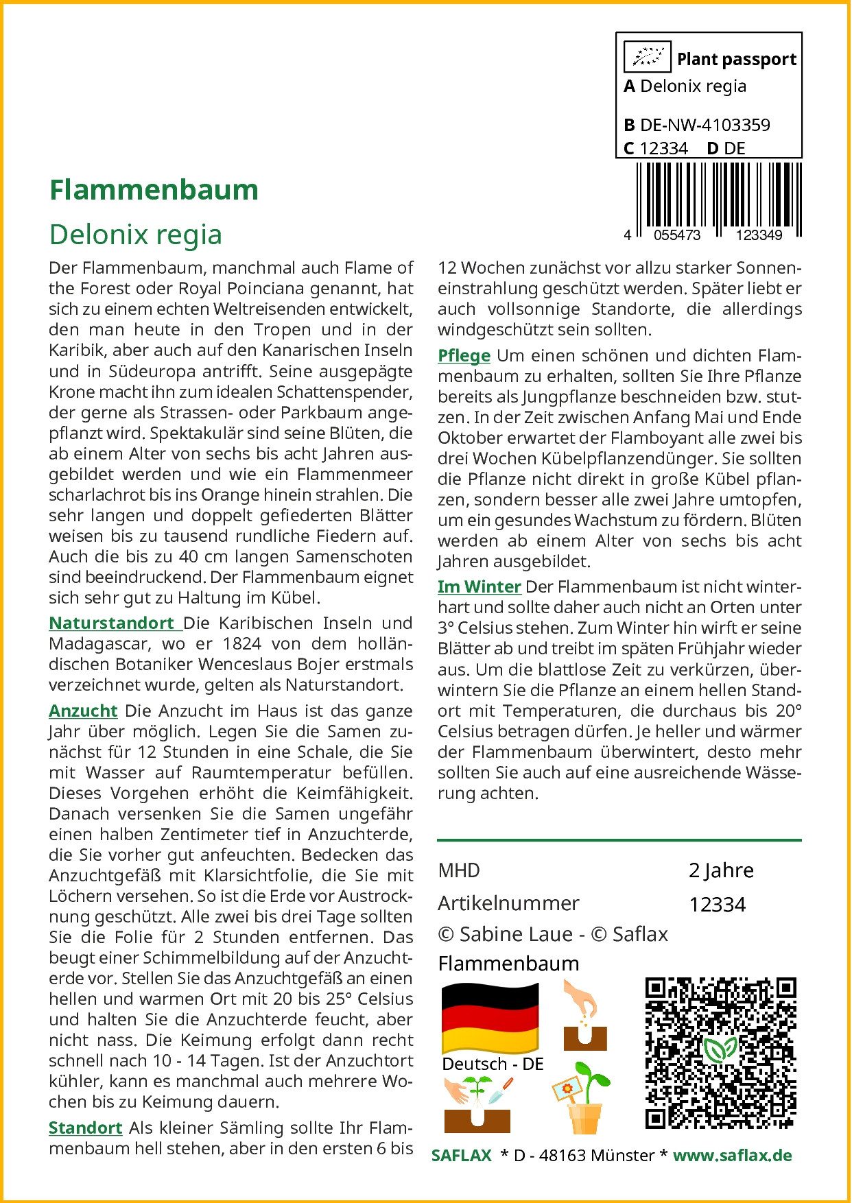 Thumbnail - SAFLAX Blumensamen SAFLAX - Samen - Flammenbaum