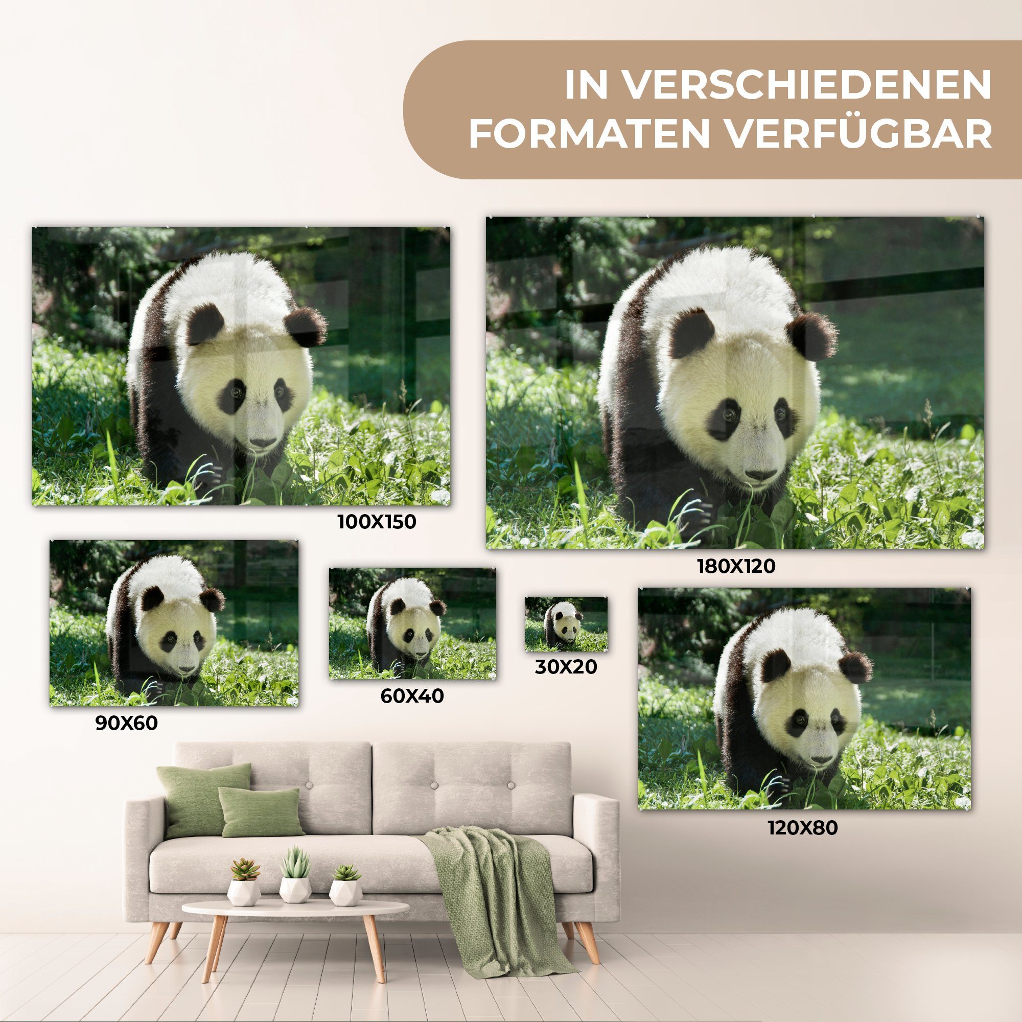 & Wohnzimmer Tier, Schlafzimmer Acrylglasbilder Panda St), Gras - Acrylglasbild - (1 MuchoWow