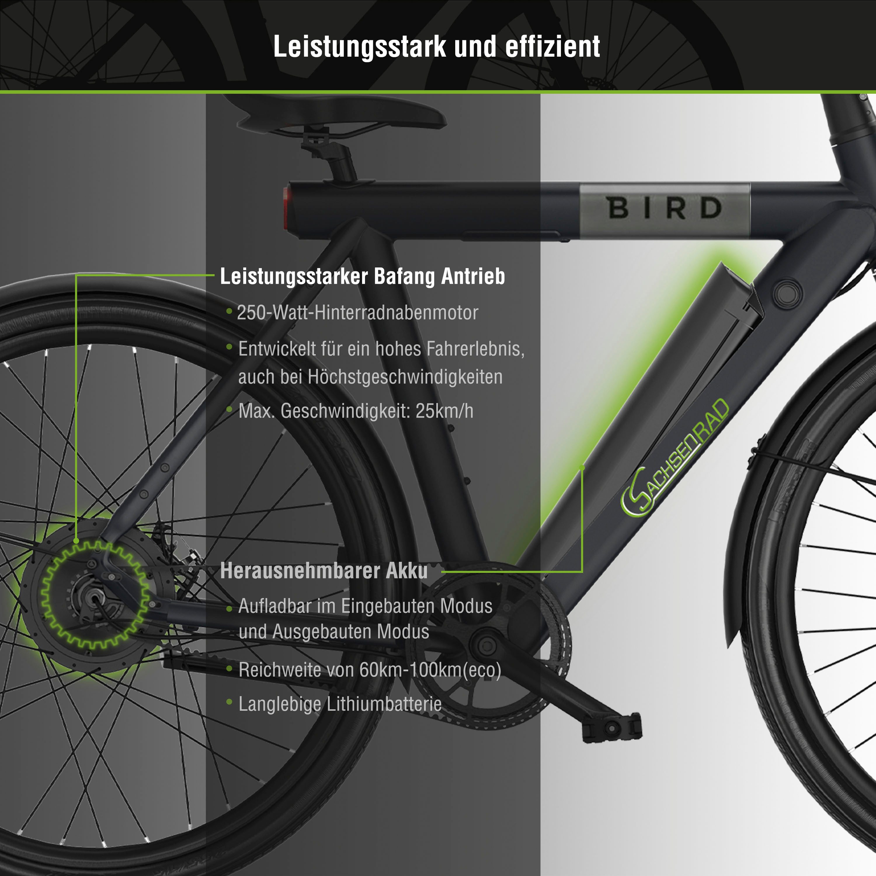 SachsenRAD E-Bike Cityrad C6R, 1 Gang, ohne Schaltung, Heckmotor, 348 Wh, Pedelec, Elektrofahrrad für Damen und Herren