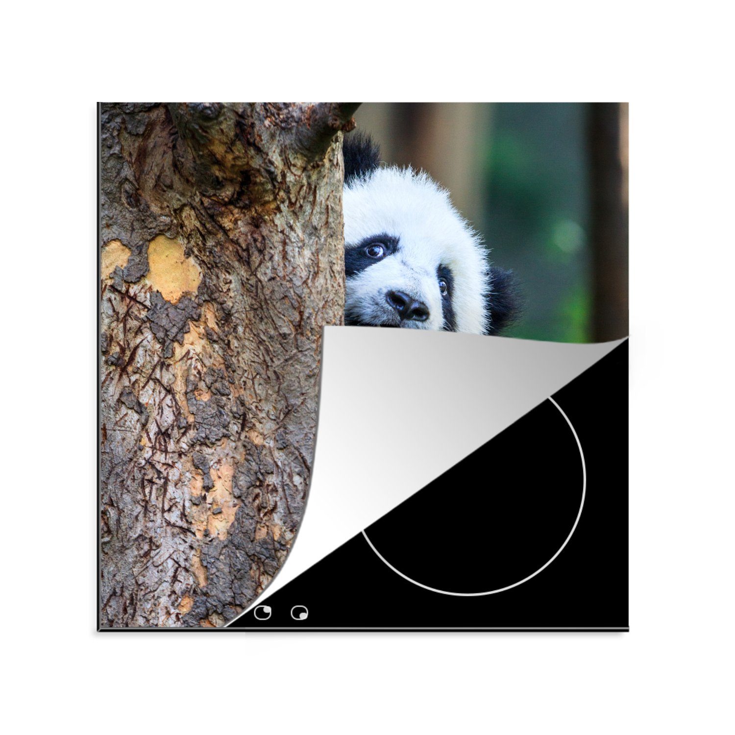 MuchoWow Herdblende-/Abdeckplatte Panda - Baum - Wald, Vinyl, (1 tlg), 78x78 cm, Ceranfeldabdeckung, Arbeitsplatte für küche