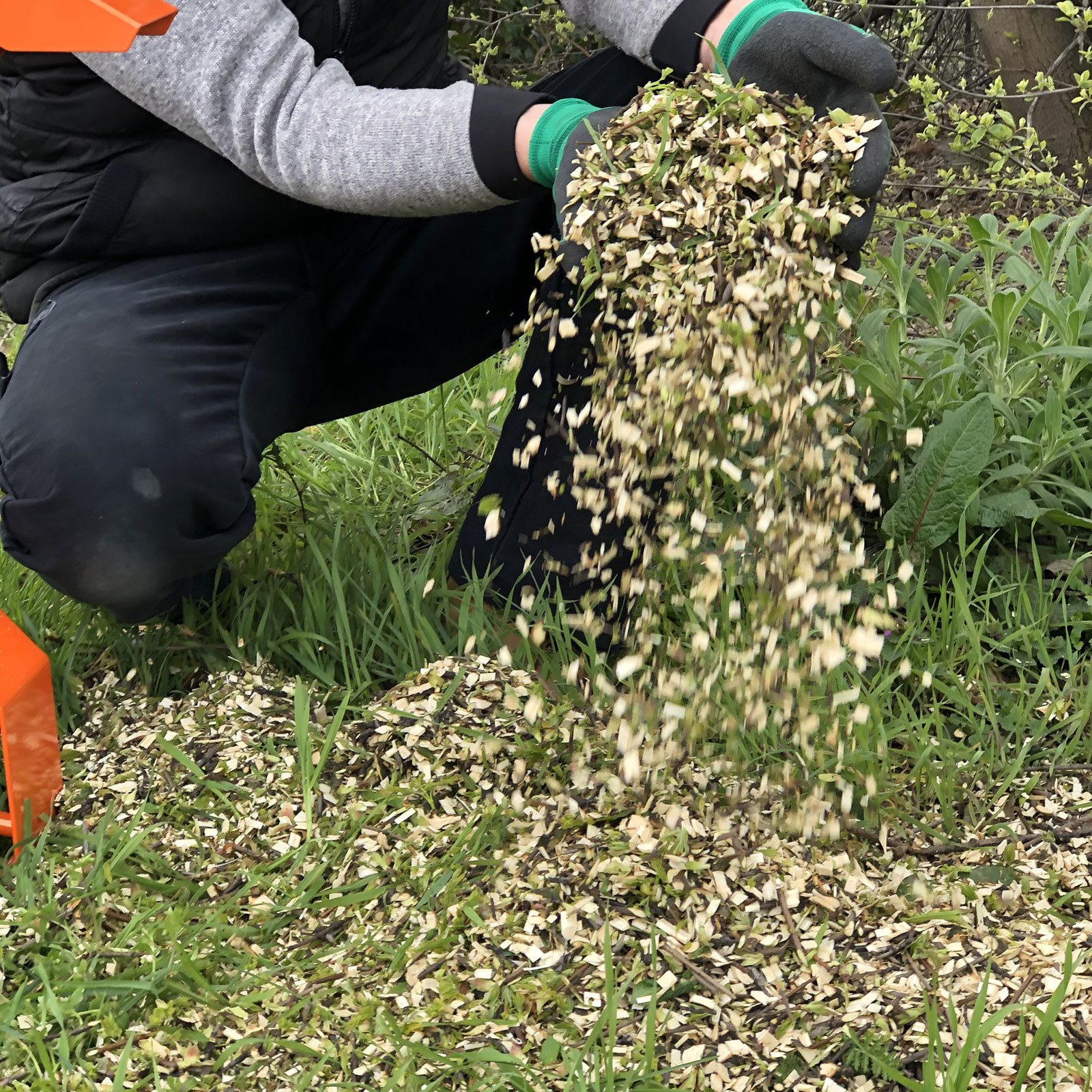 Forest Master Foliengewächshaus Benzin Häcksler 6 günstig online kaufen
