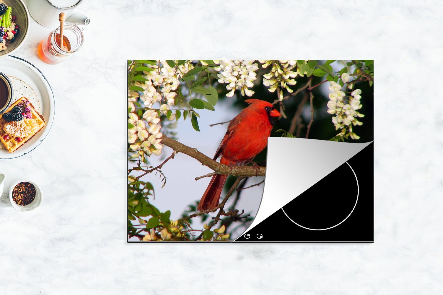 Vinyl, zwischen Blüten, Ceranfeldabdeckung tlg), Roter (1 nutzbar, 70x52 Mobile MuchoWow cm, Arbeitsfläche weißen Kardinal Herdblende-/Abdeckplatte