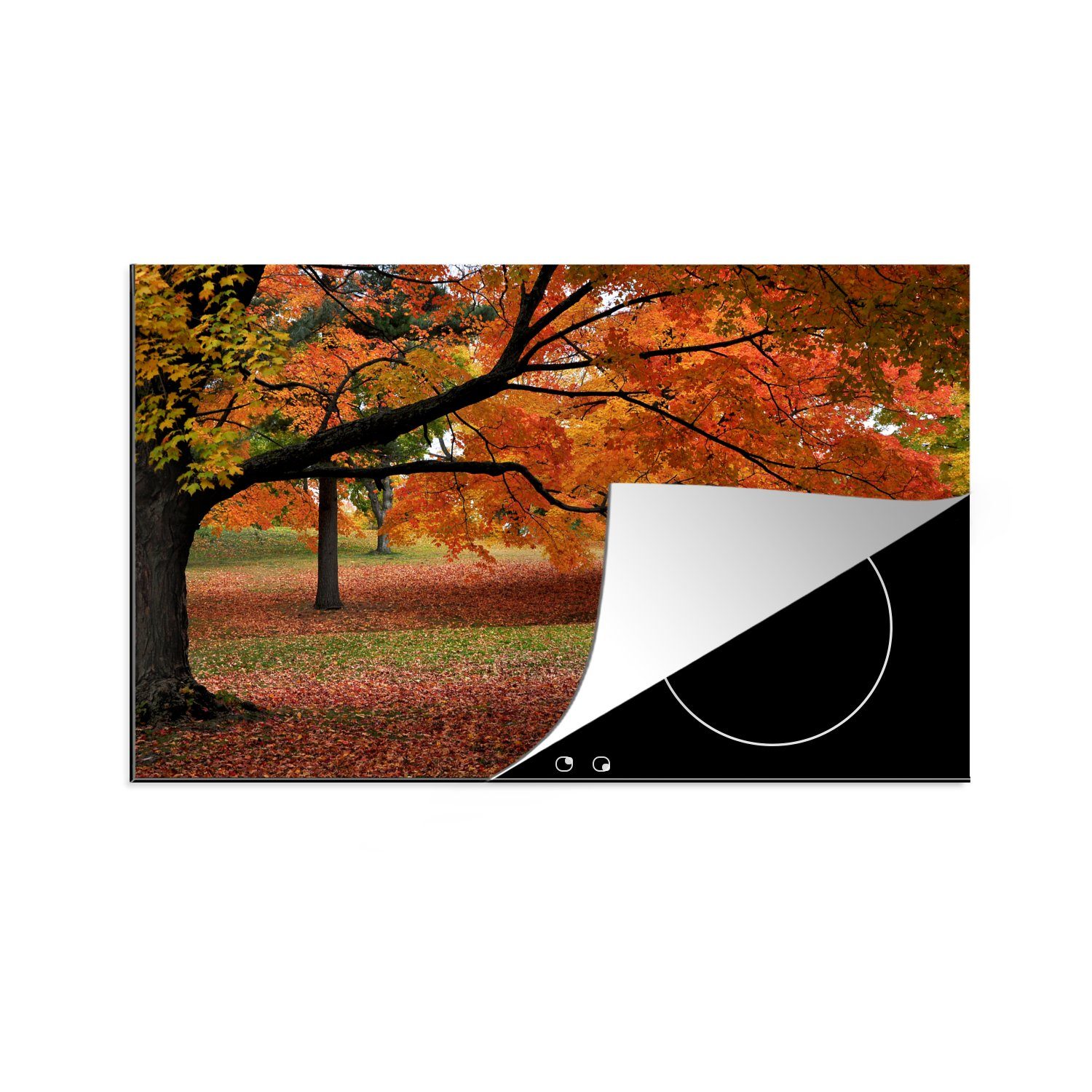 cm, einem 81x52 Wald, Induktionskochfeld Ceranfeldabdeckung in (1 Herbstblätter die Schutz für Vinyl, Herdblende-/Abdeckplatte küche, MuchoWow tlg), amerikanischen