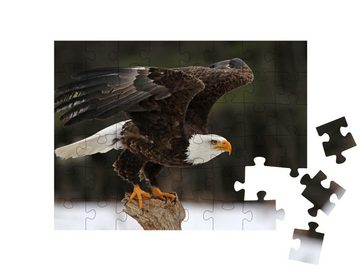 puzzleYOU Puzzle Ein Weißkopfseeadler, 48 Puzzleteile, puzzleYOU-Kollektionen Adler, Tiere in Wald & Gebirge