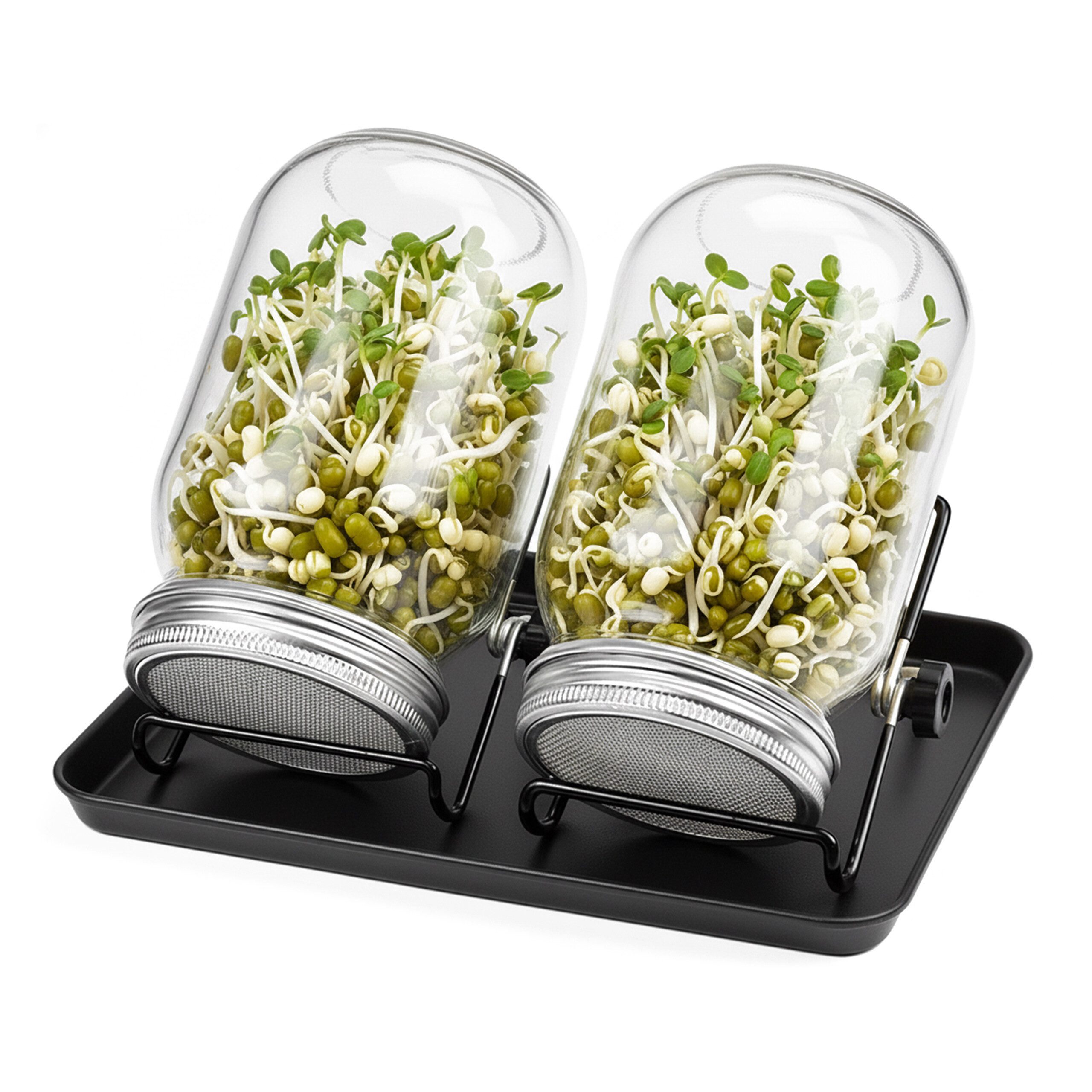 relaxdays Kräutertopf Sprossenglas 2er Set Gestell günstig online kaufen