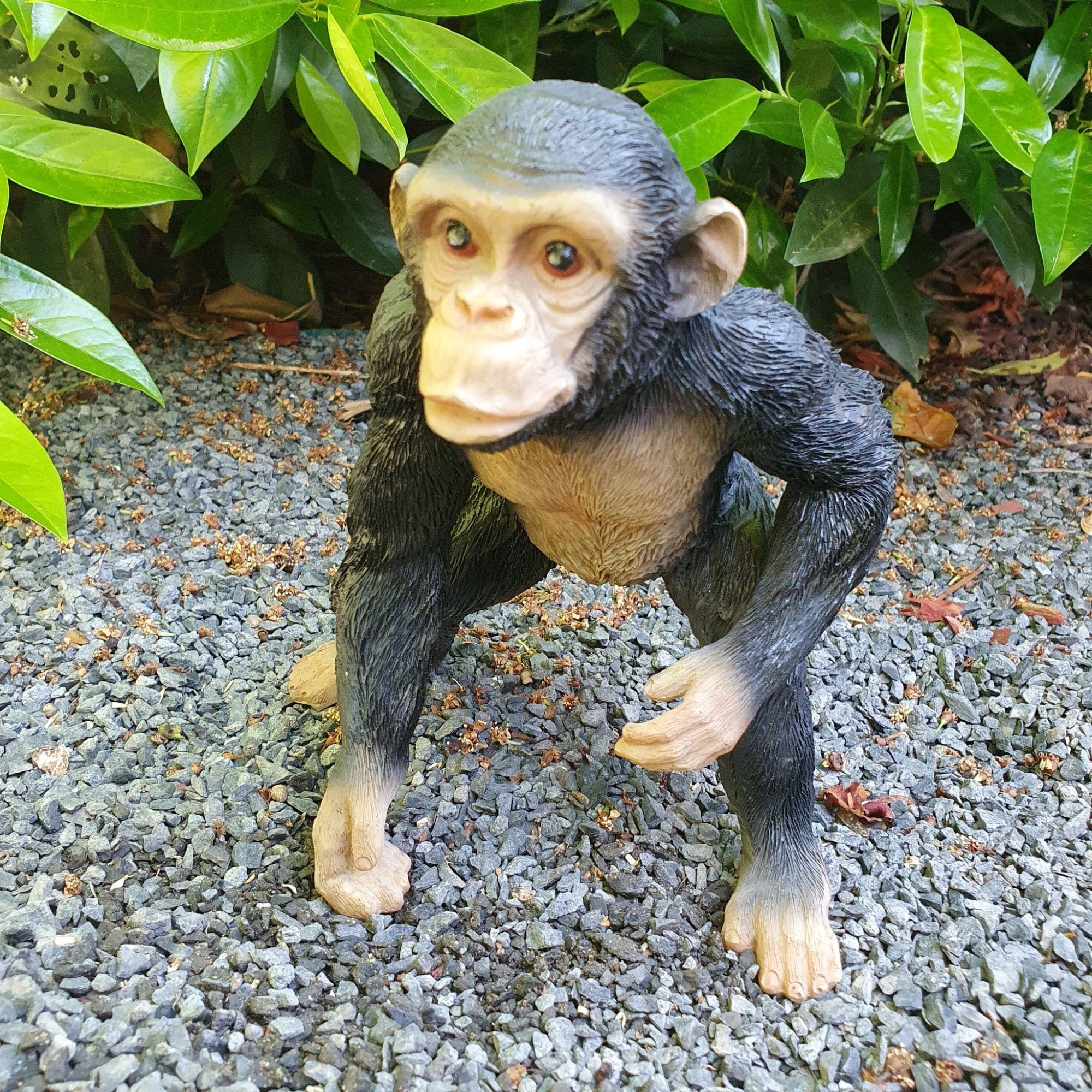 Aspinaworld Gartenfigur Gartenfigur stehende Schimpansen Figur 18 cm