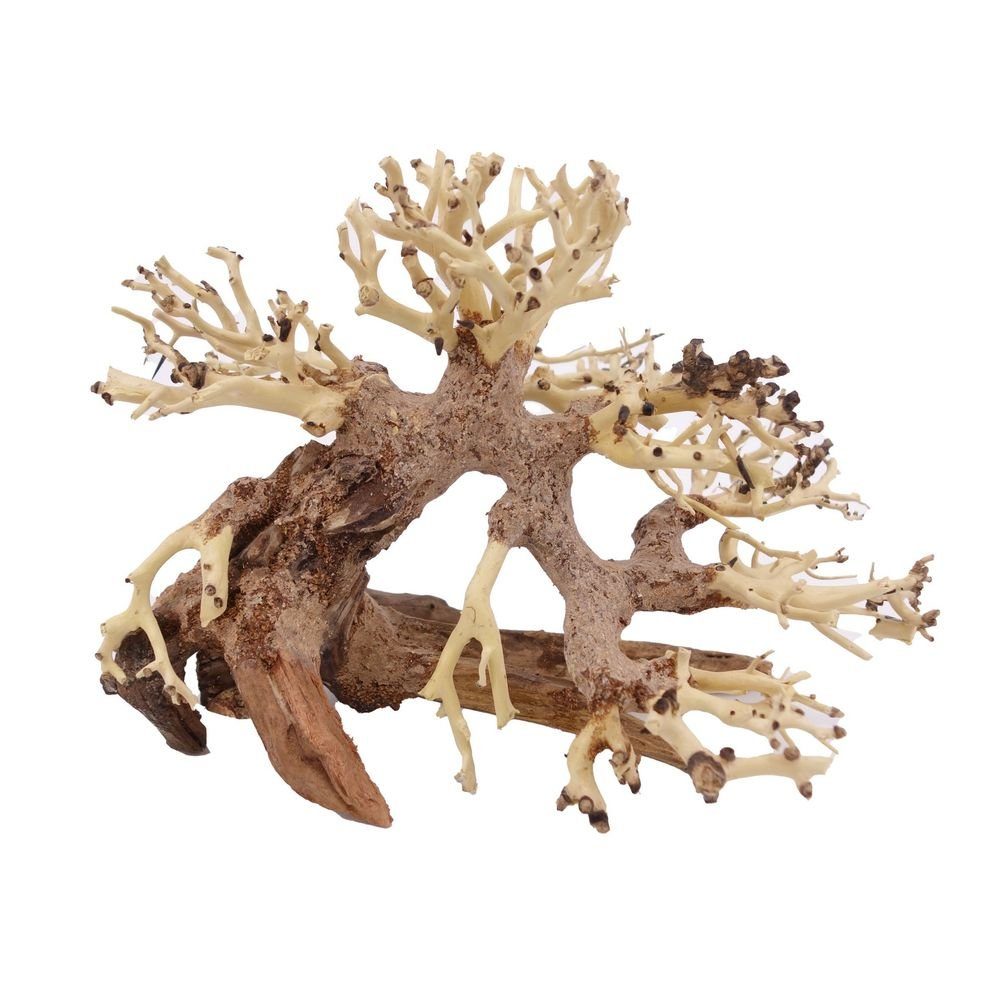 Aquaone Aquarium M Bonsai Baum Nr.10527 Wurzel Holz Aquarium Deko