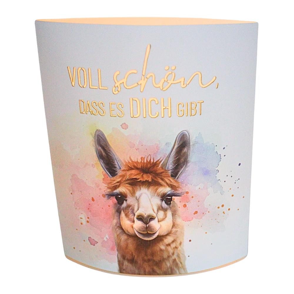 Dekohelden24 Stehlampe Dekolichter in verschiedenen Varianten, cm.