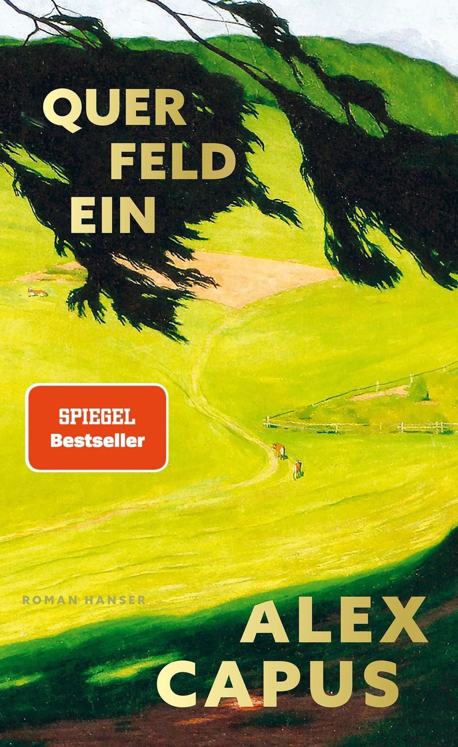 Querfeldein / Alex Capus