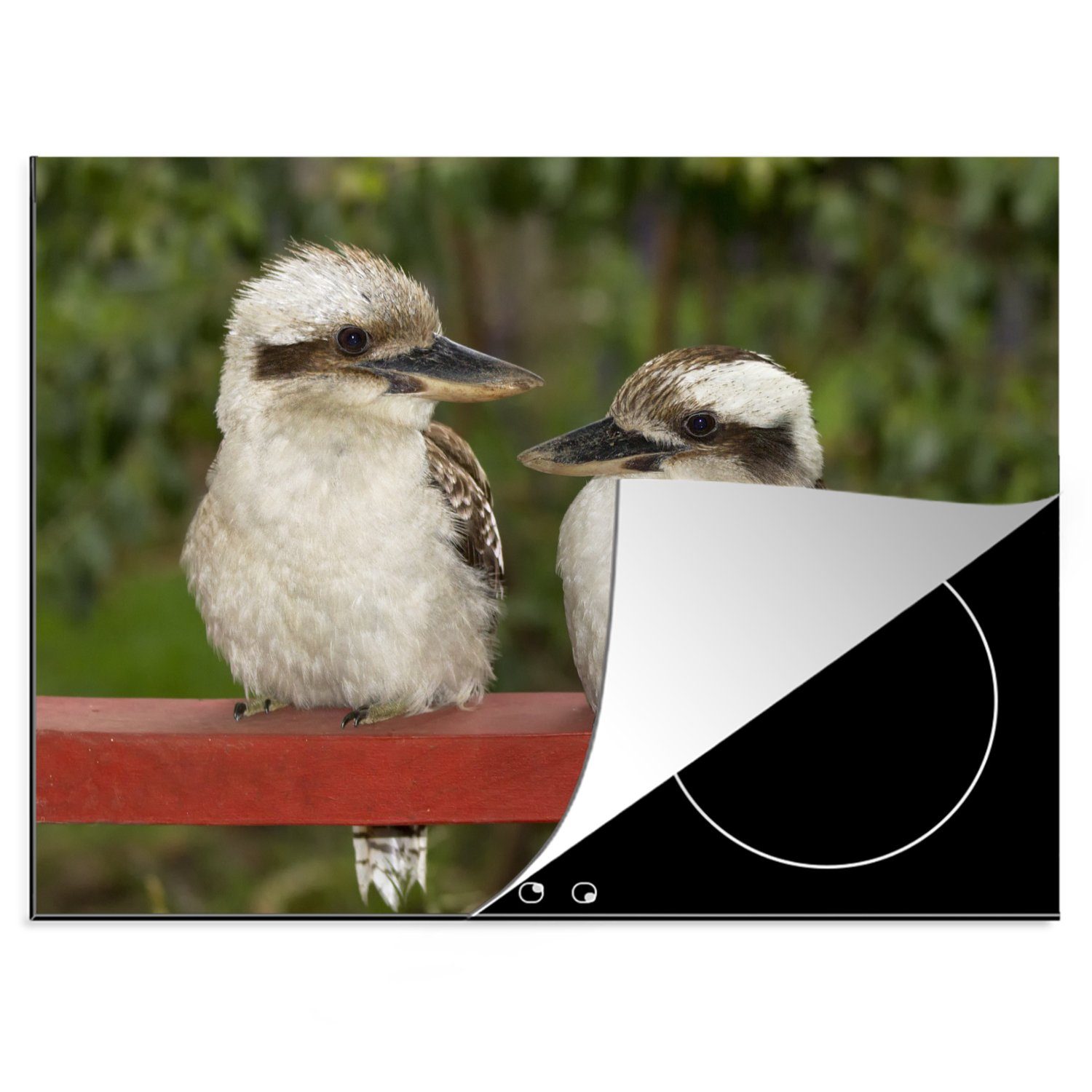 MuchoWow Herdblende-/Abdeckplatte Zwei australische Kookaburras sitzen auf einer roten Holzplanke, Vinyl, (1 tlg), 70x52 cm, Mobile Arbeitsfläche nutzbar, Ceranfeldabdeckung