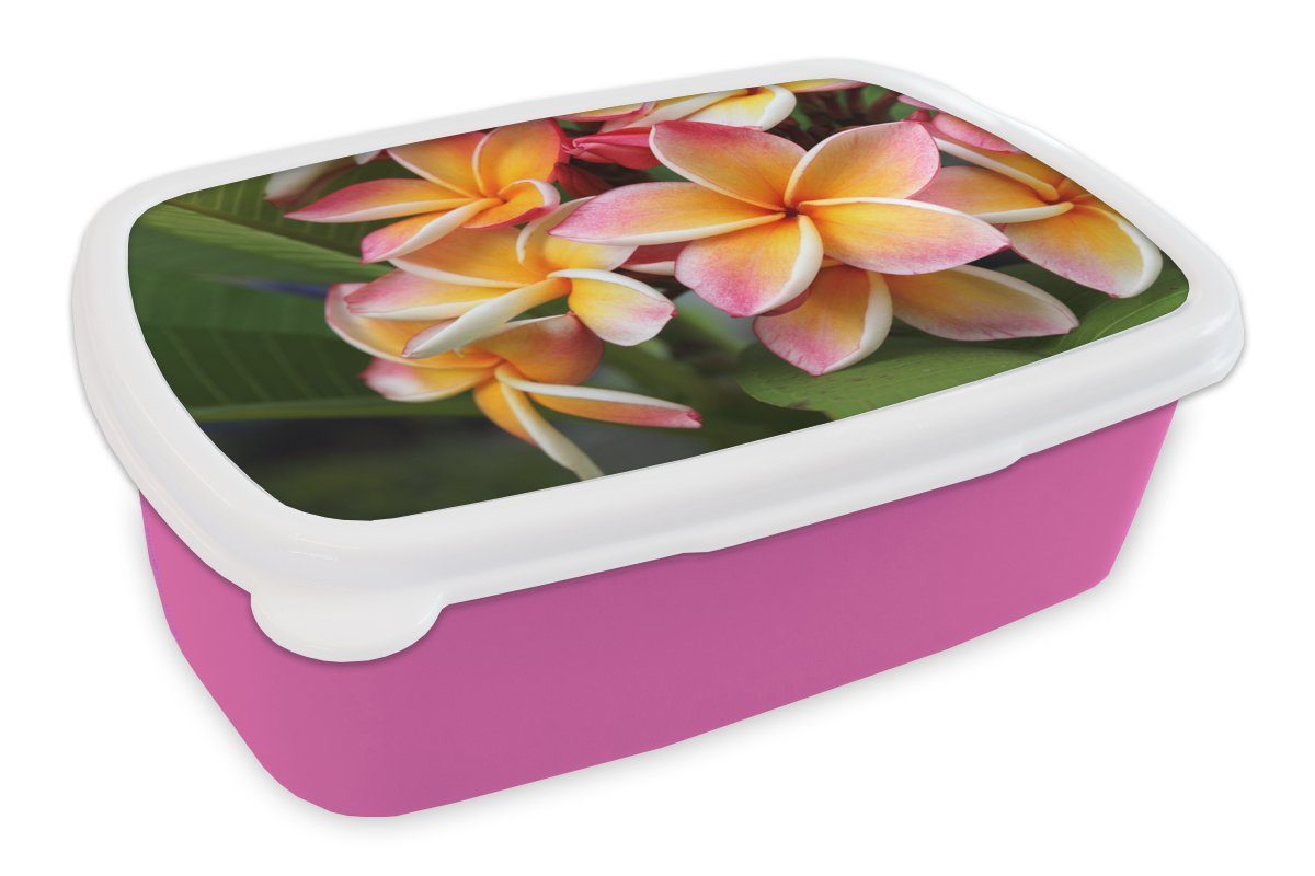MuchoWow Lunchbox Blumen - Plumeria - Orange, Kunststoff, (2-tlg), Brotbox für Erwachsene, Brotdose Kinder, Snackbox, Mädchen, Kunststoff rosa