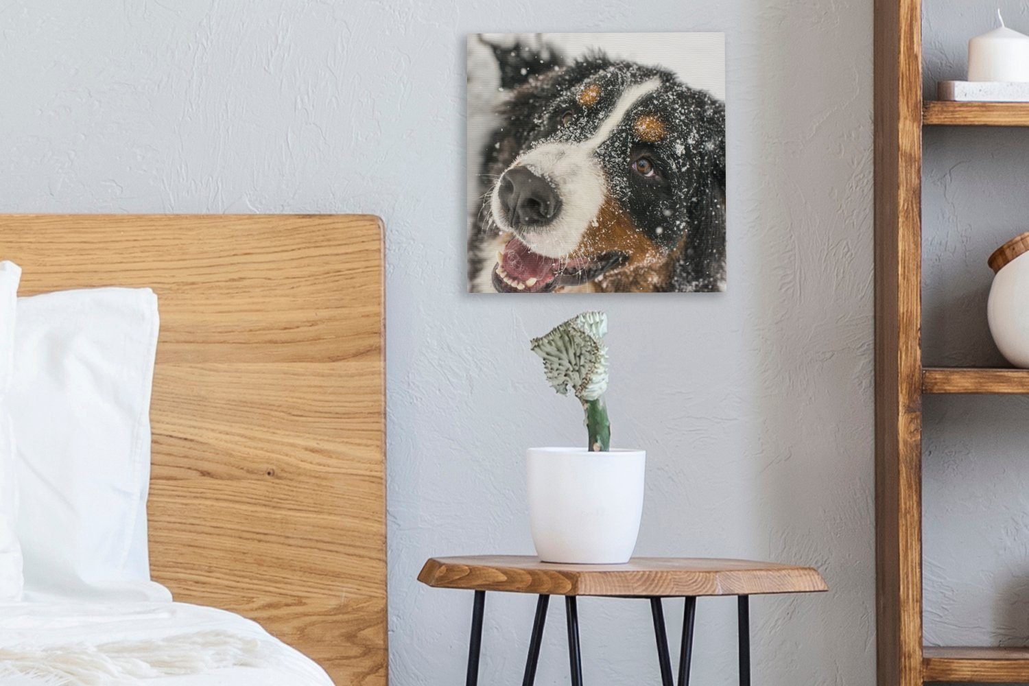 OneMillionCanvasses® Leinwandbild Ein Berner Sennenhund Leinwand für Schnee, Wohnzimmer Schlafzimmer (1 dem Bilder unter St)