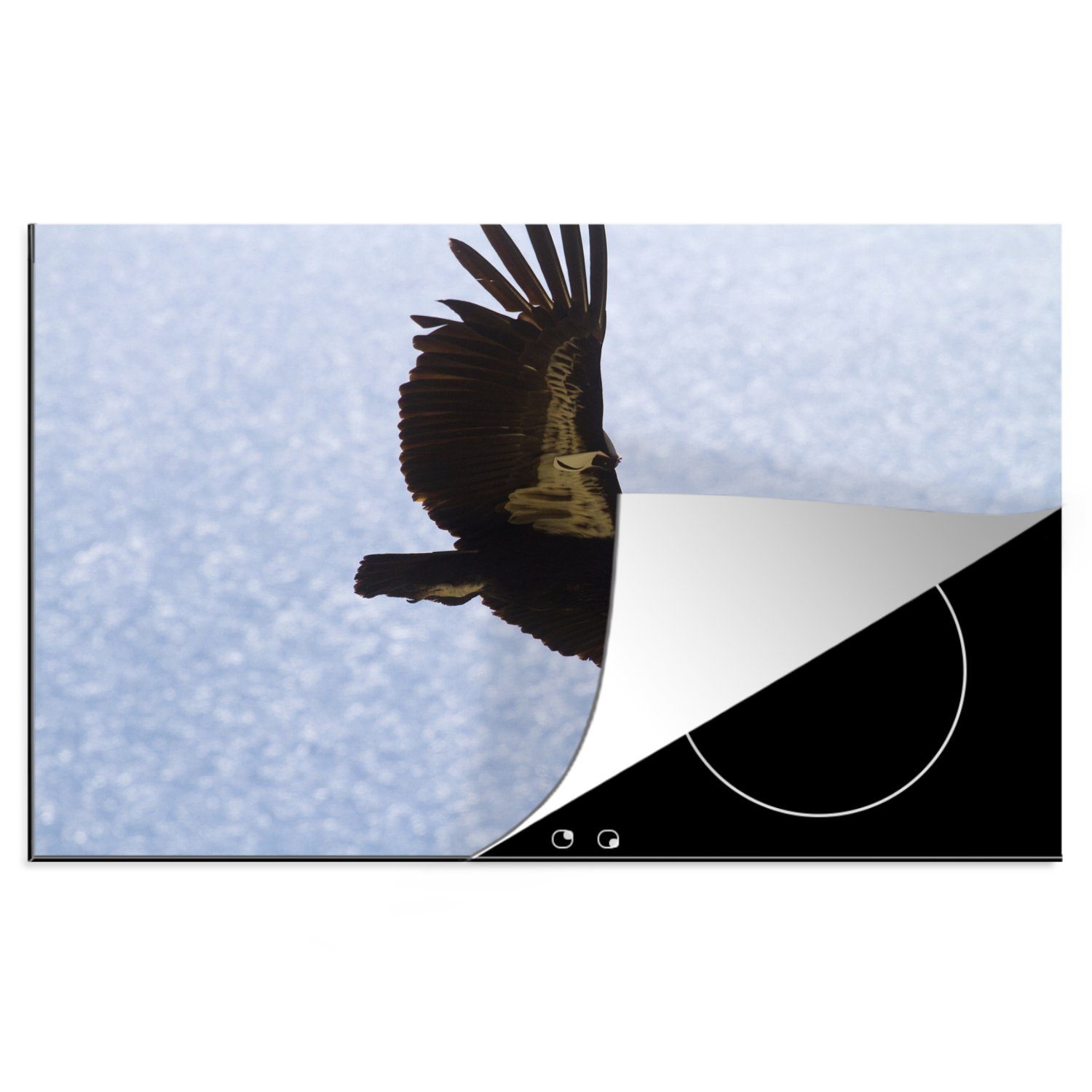 MuchoWow Herdblende-/Abdeckplatte Ein kalifornischer Kondor fliegt über das Wasser, Vinyl, (1 tlg), 81x52 cm, Induktionskochfeld Schutz für die küche, Ceranfeldabdeckung