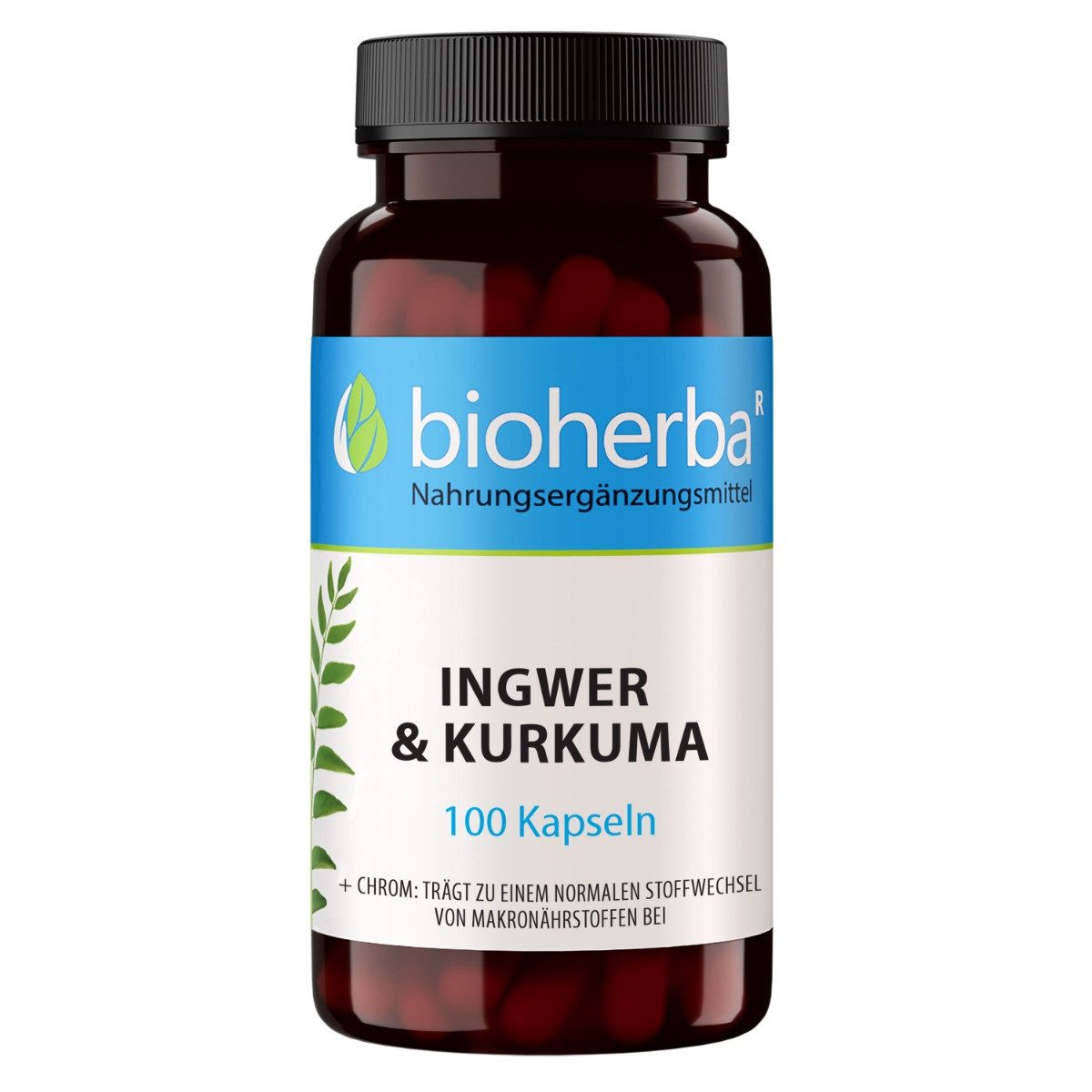 BIOHERBA R Ingwer und Kurkuma 100 Kapseln Nahrungsergänzungsmittel