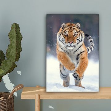 OneMillionCanvasses® Leinwandbild Tiger - Landschaft - Schnee - Tiere, (1 St), Leinwandbild fertig bespannt inkl. Zackenaufhänger, Gemälde, 20x30 cm
