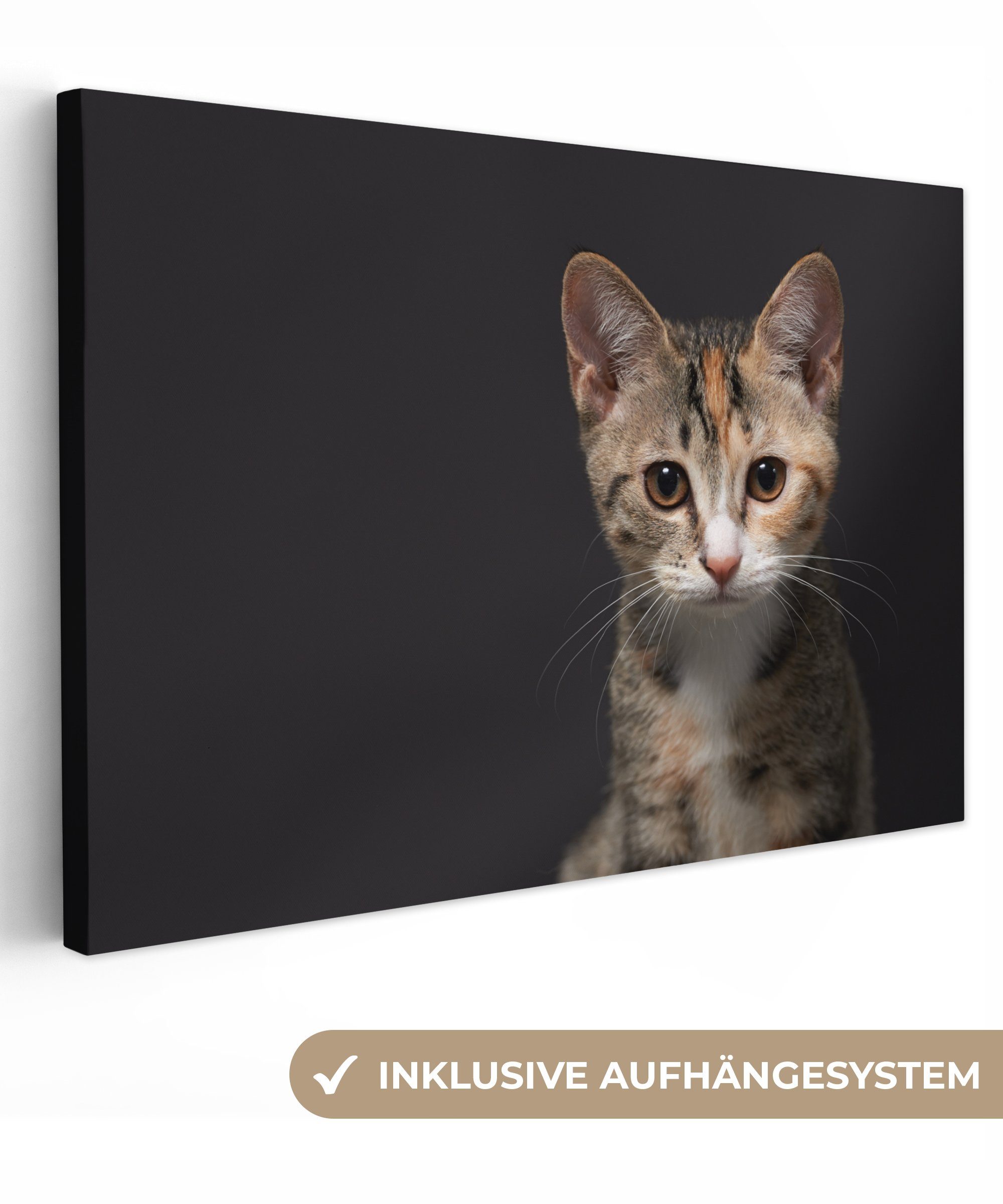 Leinwandbilder, OneMillionCanvasses® Wandbild cm - Schwarz (1 Leinwandbild Aufhängefertig, Porträt, St), 30x20 - Katze Wanddeko,