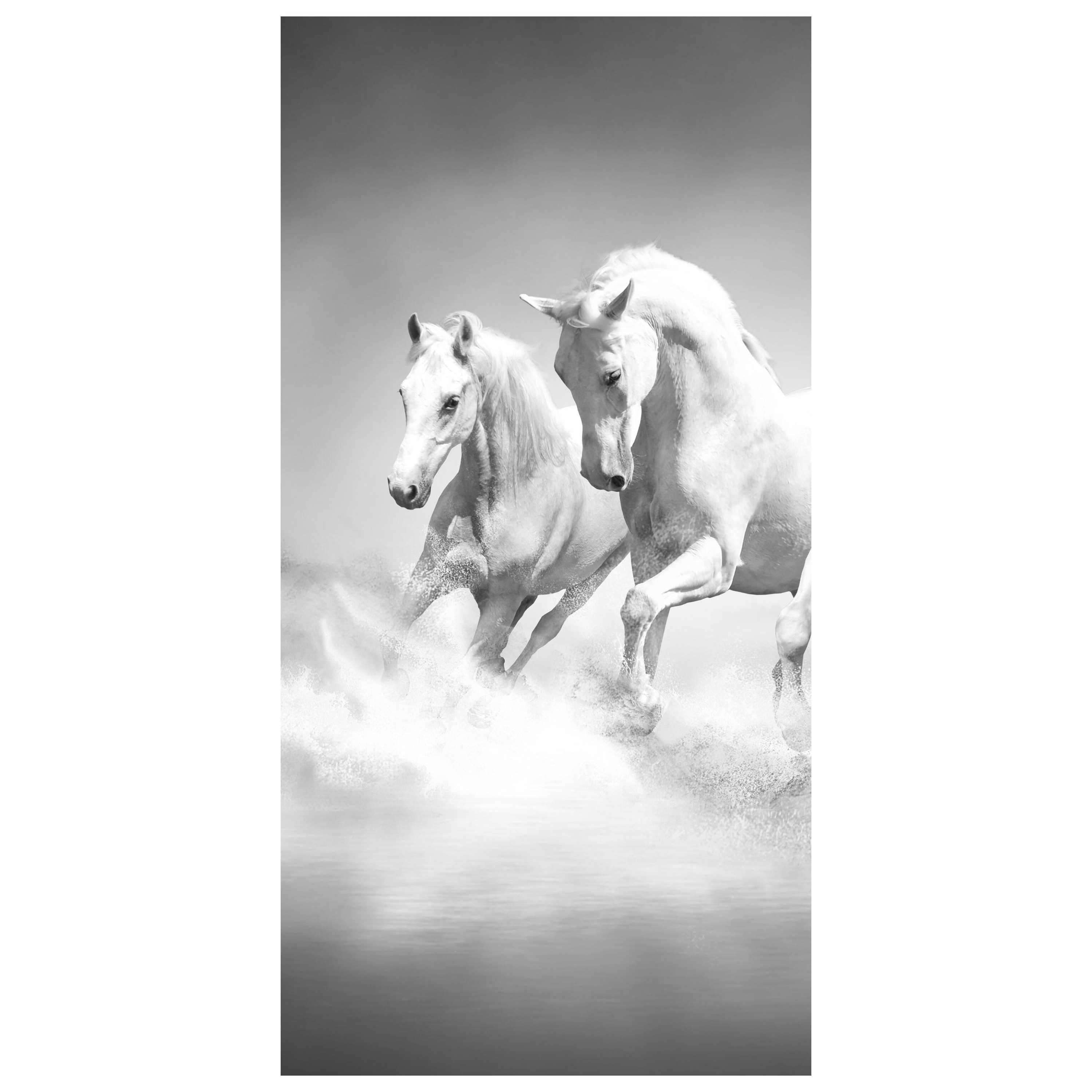 wandmotiv24 Türtapete weiße Traumpferde, glatt, Fototapete, Wandtapete, Motivtapete, matt, selbstklebende Dekorfolie