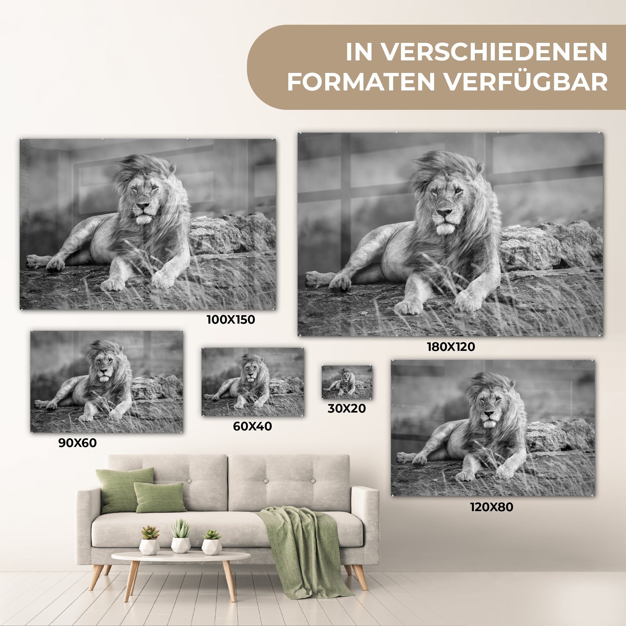 MuchoWow Acrylglasbild Löwen Glasbilder Wandbild - Foto - Glas - Wanddekoration Weiß, - Bilder - St), Glas Schwarz Wild - auf auf (1
