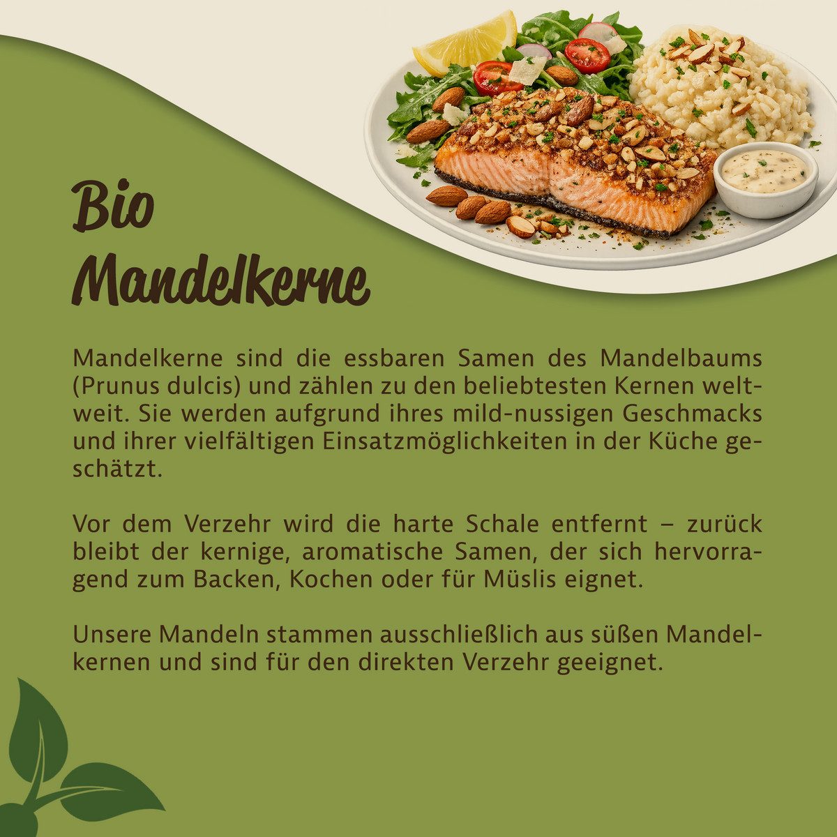 Mynatura Samen Mynatura Bio Mandelkerne unbehandelt
