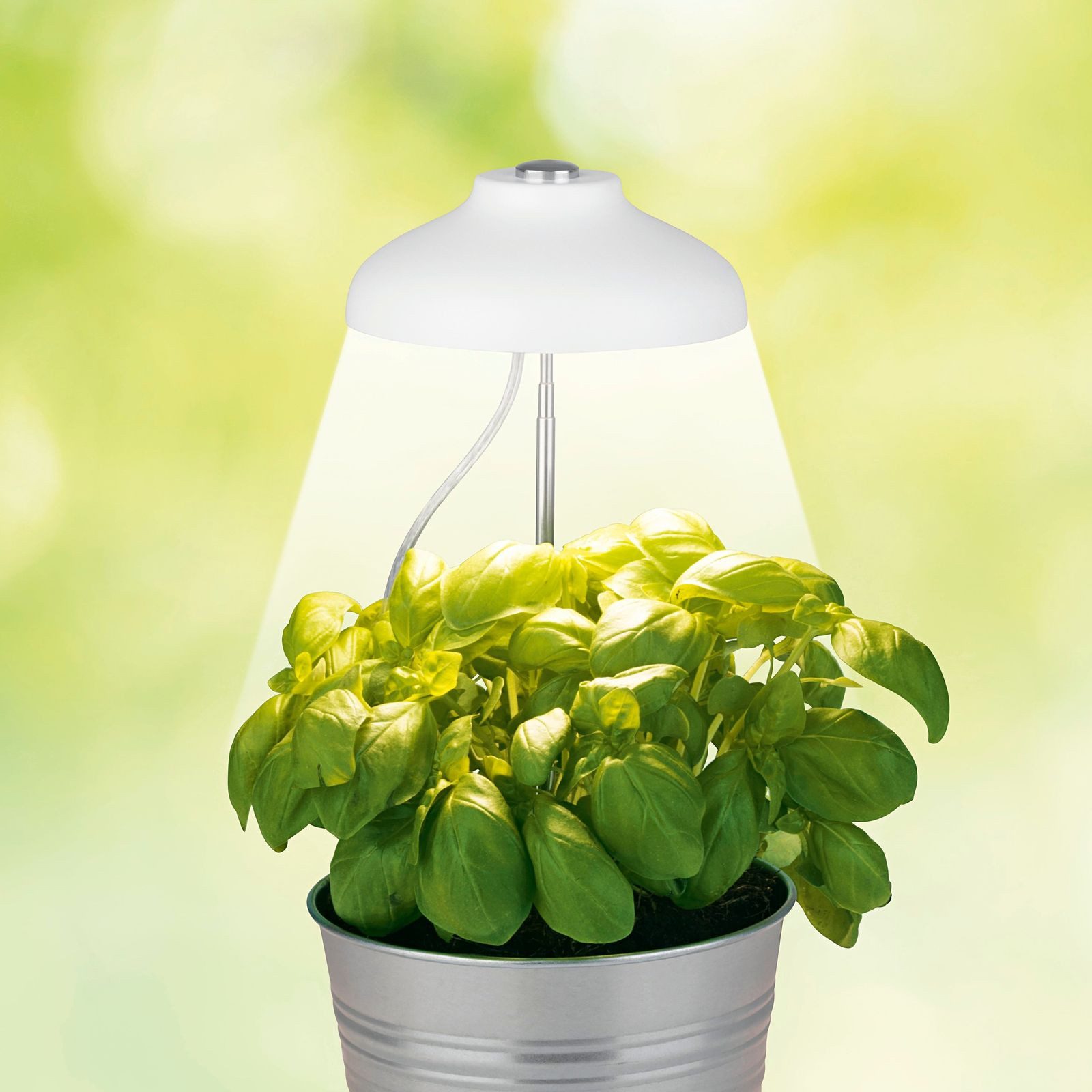 DS Produkte GmbH LED Dekolicht LED Teleskop-Pflanzenleuchte Pflanzenlampe Pflanzenstrahler