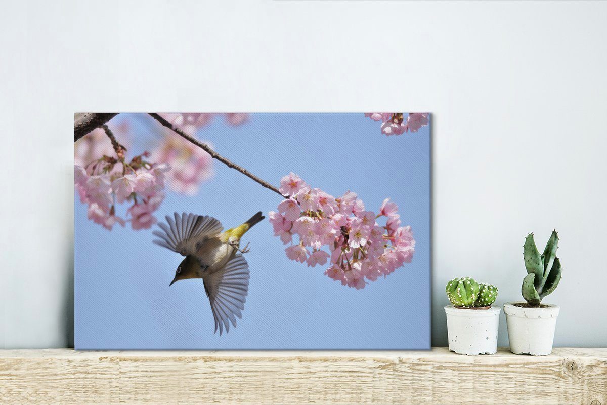 OneMillionCanvasses® Leinwandbild Kirschblüte und Vogel, St), Leinwandbilder, Wanddeko, Aufhängefertig, 30x20 Wandbild cm (1