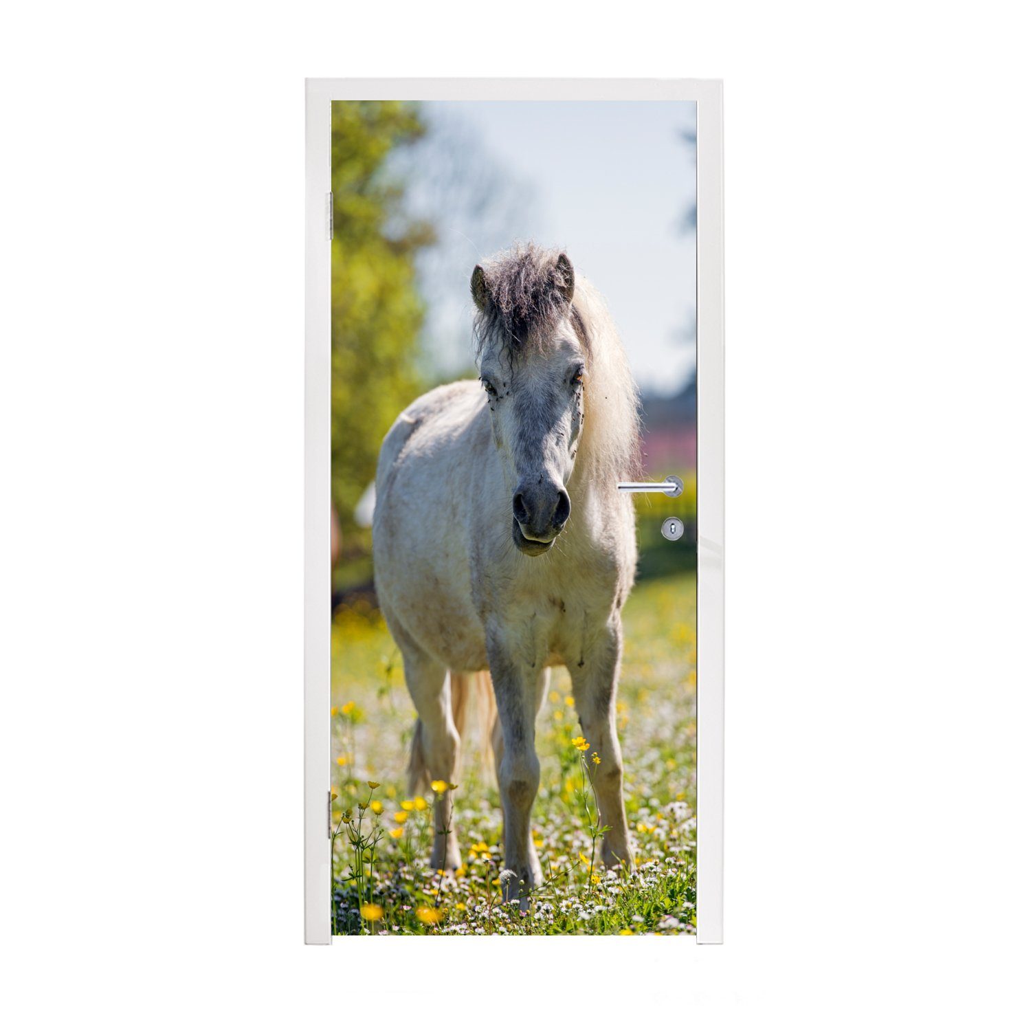 MuchoWow Türtapete Pferd - bedruckt, für Matt, 75x205 Türaufkleber, cm St), Fototapete (1 Blumen Licht, - Tür