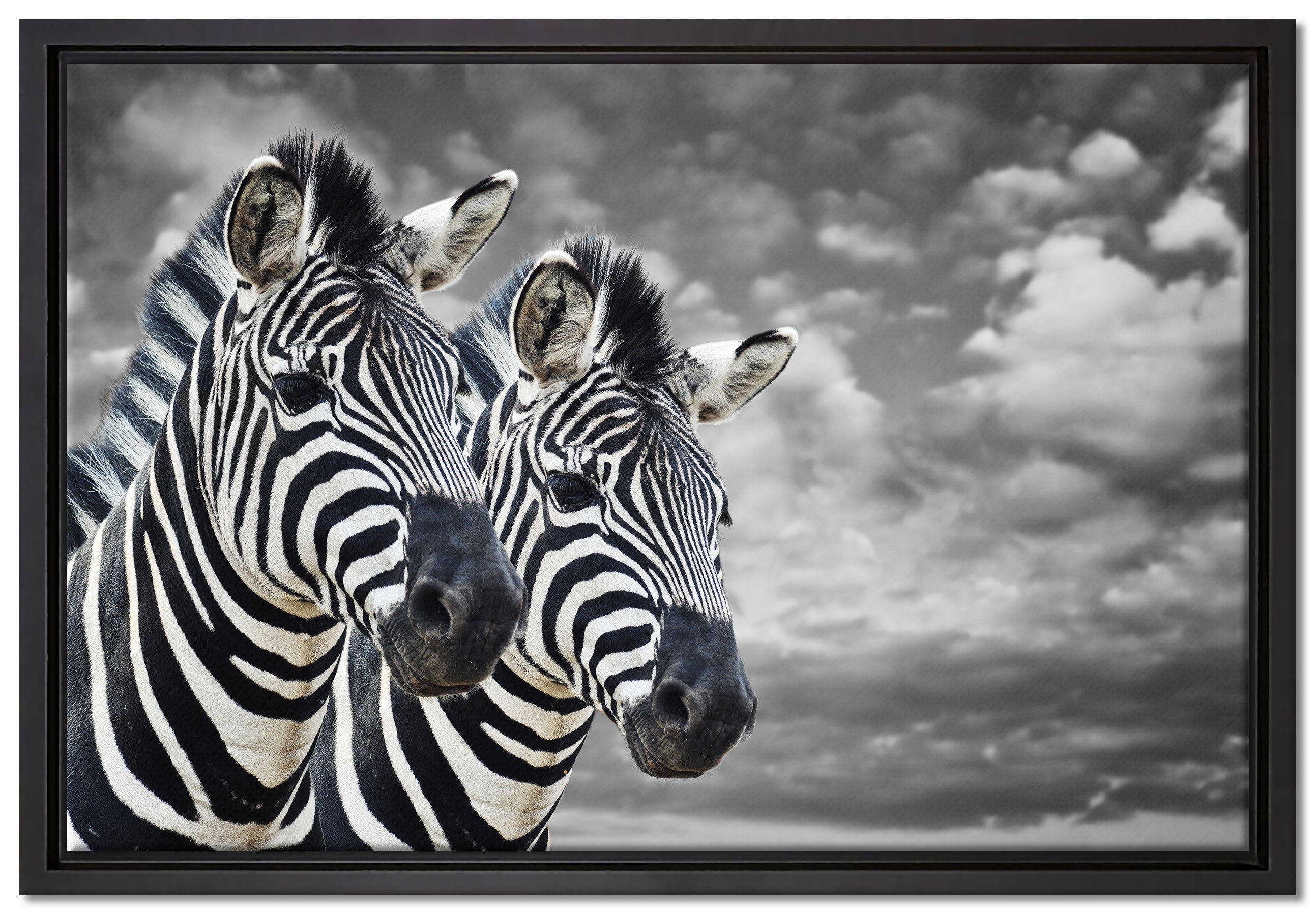 Wanddekoration Leinwandbild gefasst, inkl. Zackenaufhänger zwei Pixxprint Schattenfugen-Bilderrahmen Leinwandbild in Zebras, St), bespannt, einem fertig (1