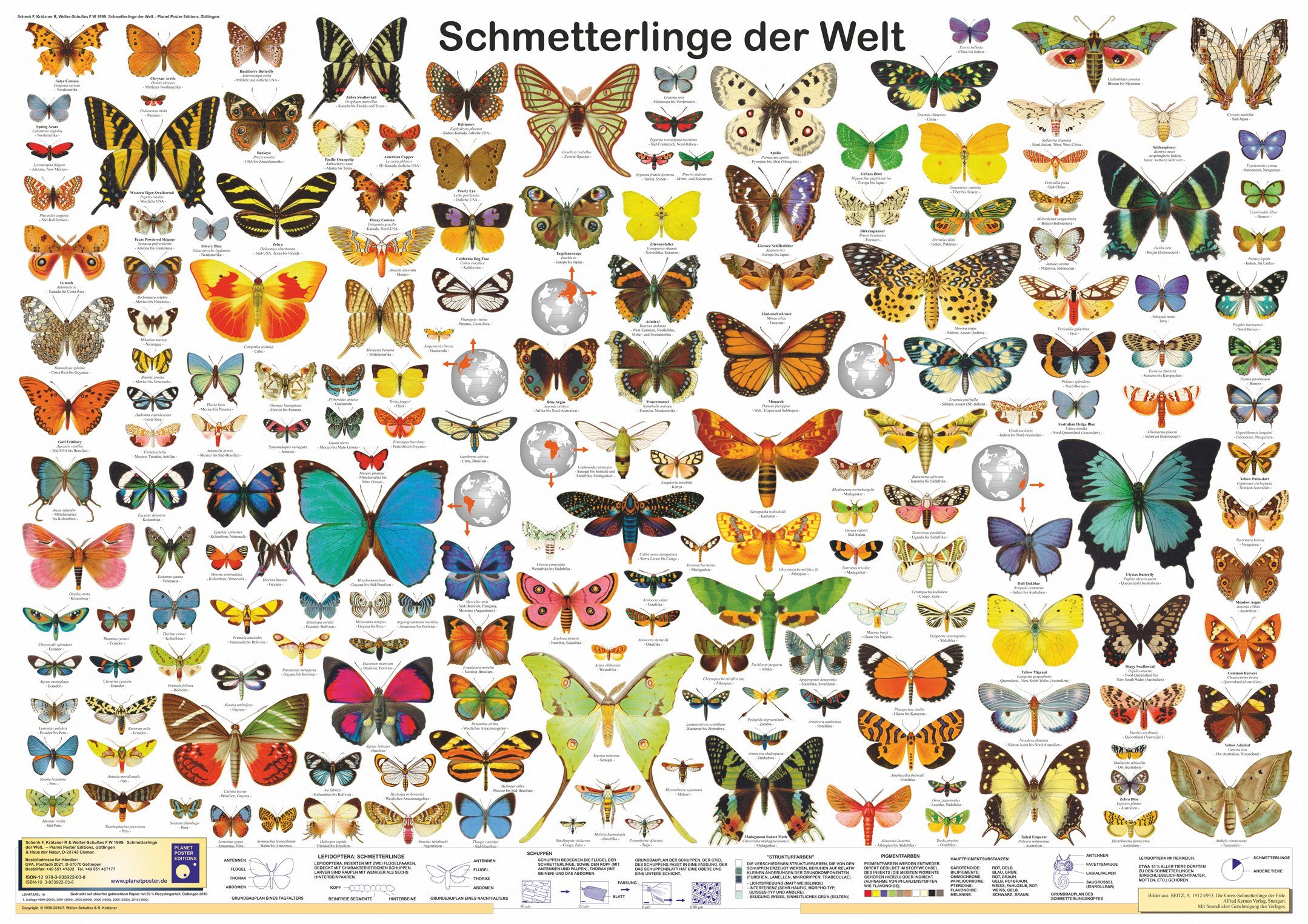 Close Up Poster Schmetterlinge der Welt Poster deutsch DIN A1 84,1 x 59,4 c günstig online kaufen