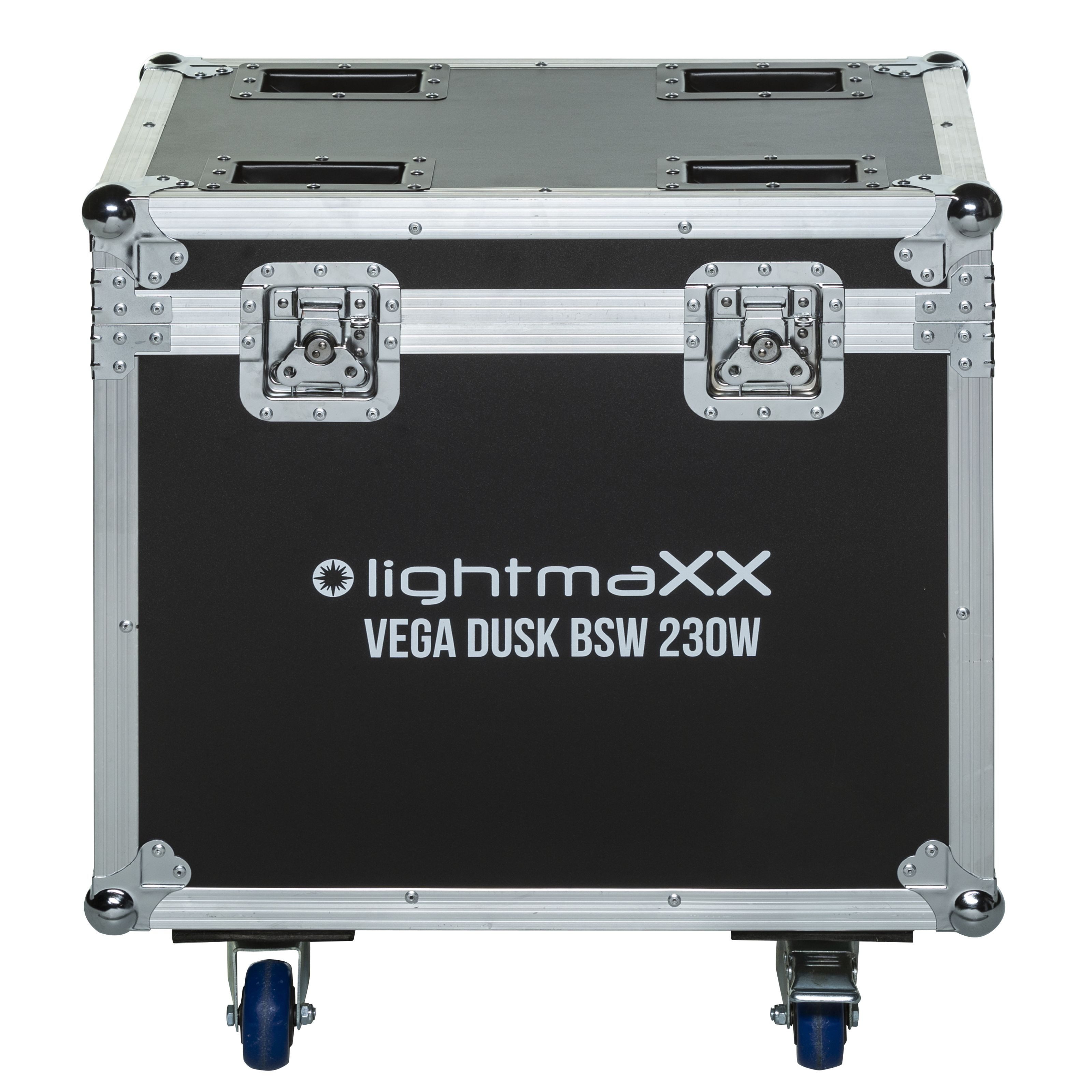 lightmaXX Koffer, TOUR CASE 2x VEGA günstig online kaufen