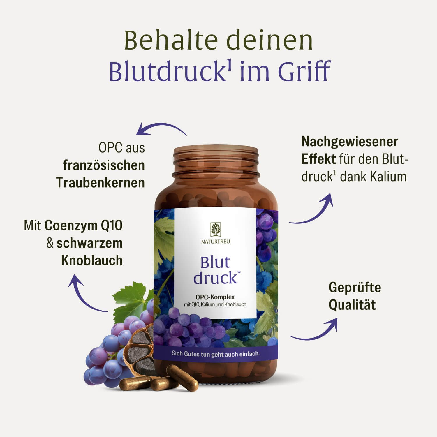 Naturtreu BLUTDRUCK Kapseln, 1 er 90 St., Hochdosiertes OPC (630 mg) aus französischen Traubenkernen, komb…